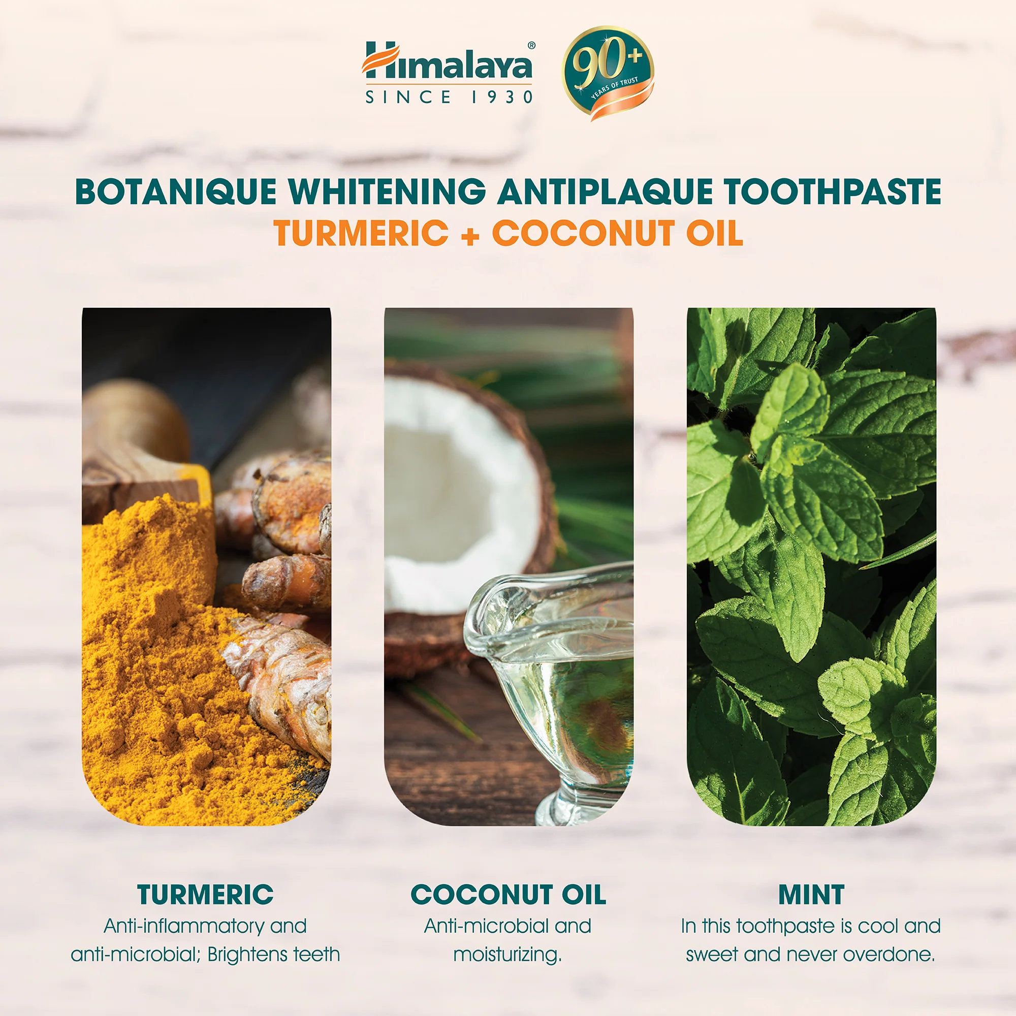 Himalaya Botanique Whitening Antiplaque Toothpaste Turmeric + Coconut Oil 113G - Image 4