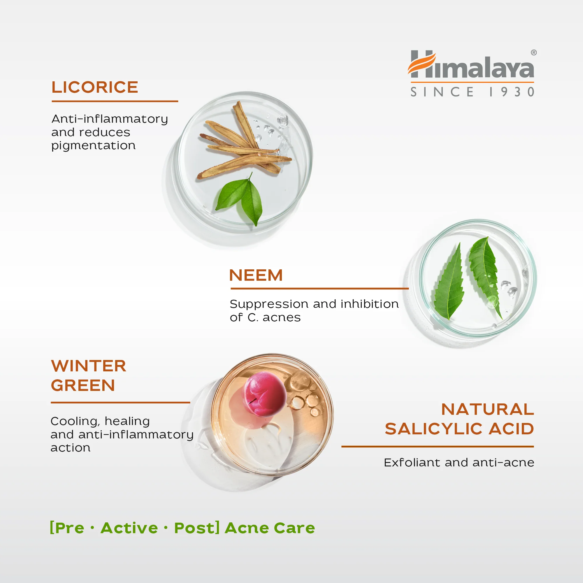 Himalaya Acne Clear+ Face Cleansing Gel - Image 4