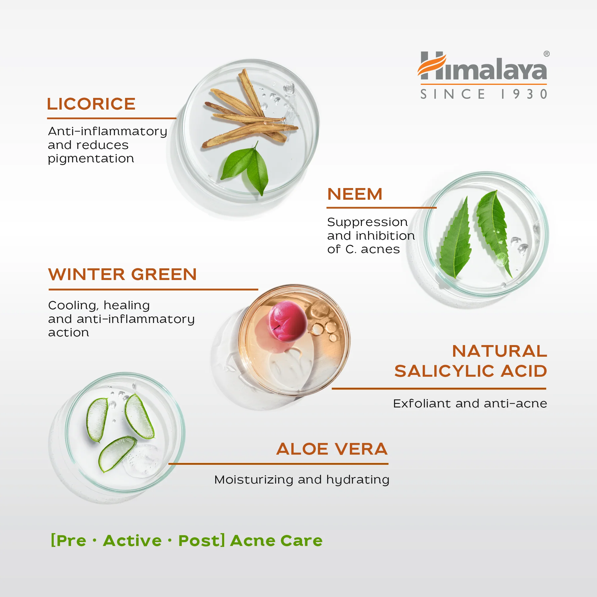 Himalaya Acne Clear+ Moisturizing Gel - Image 4