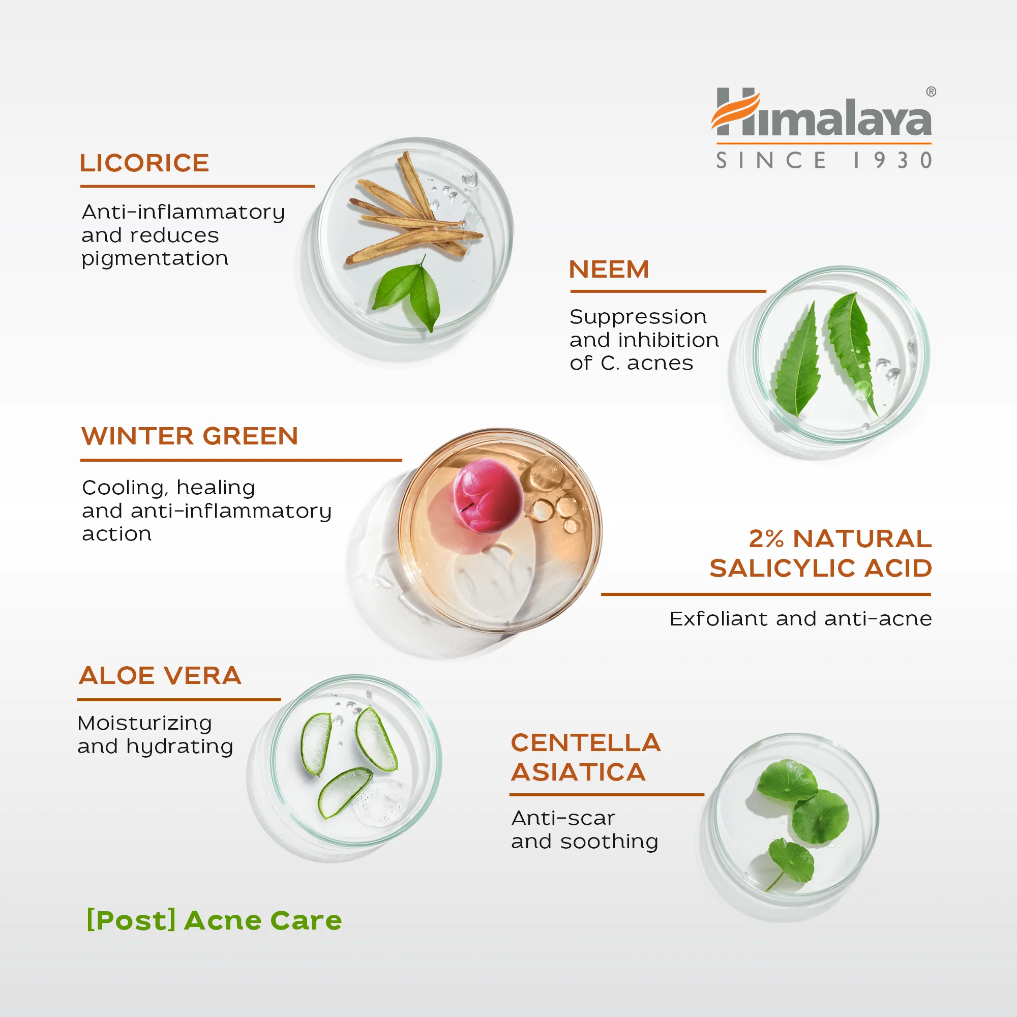 Himalaya Acne Clear+ Scar Removal Serum - Image 4