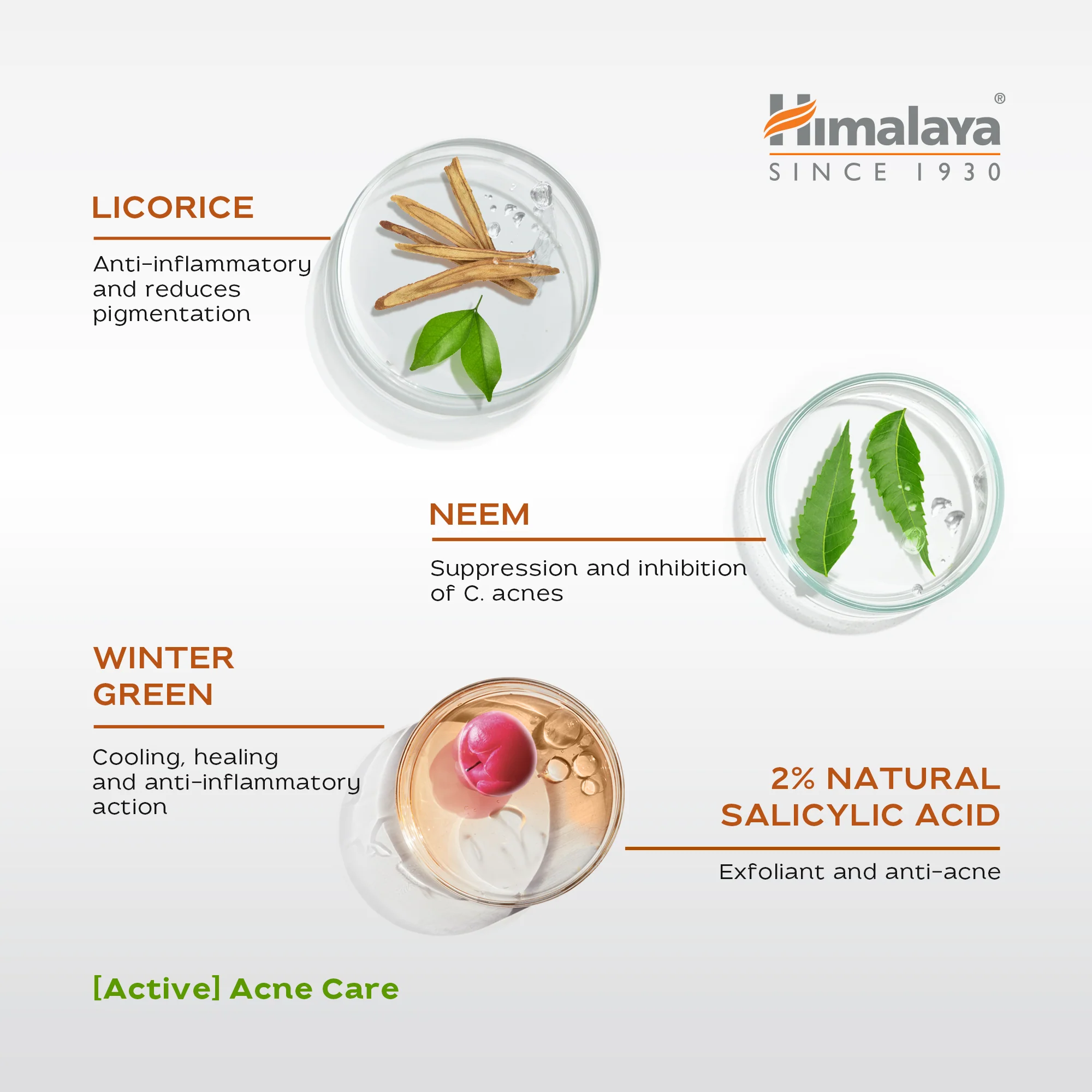 Himalaya Acne Clear+ Treatment Pen - Image 4