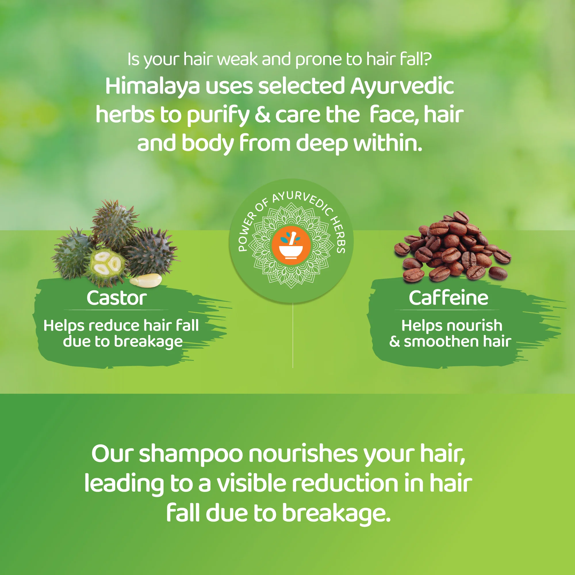 Himalaya Anti-Hair Fall Shampoo - 400 ml - Image 3