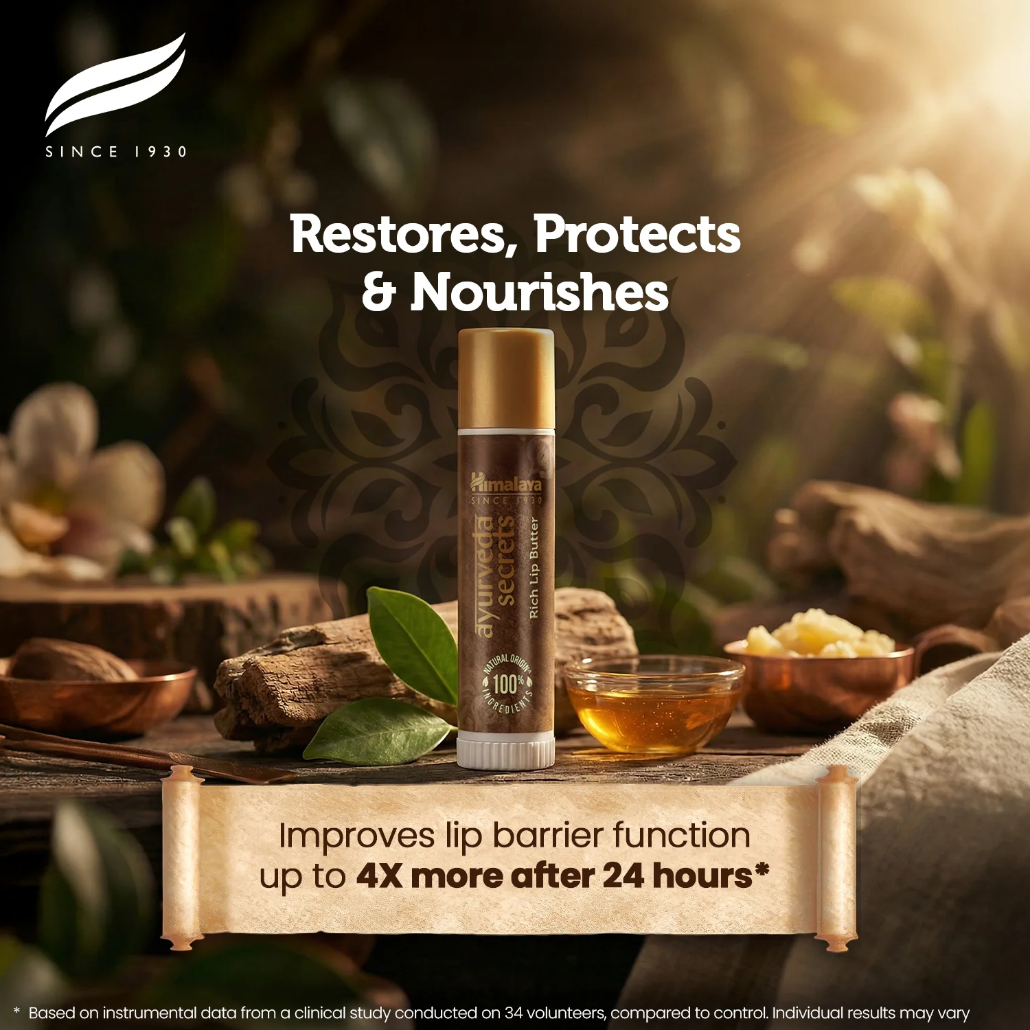 Himalaya AYURVEDA SECRETS RICH LIP BUTTER - Image 4