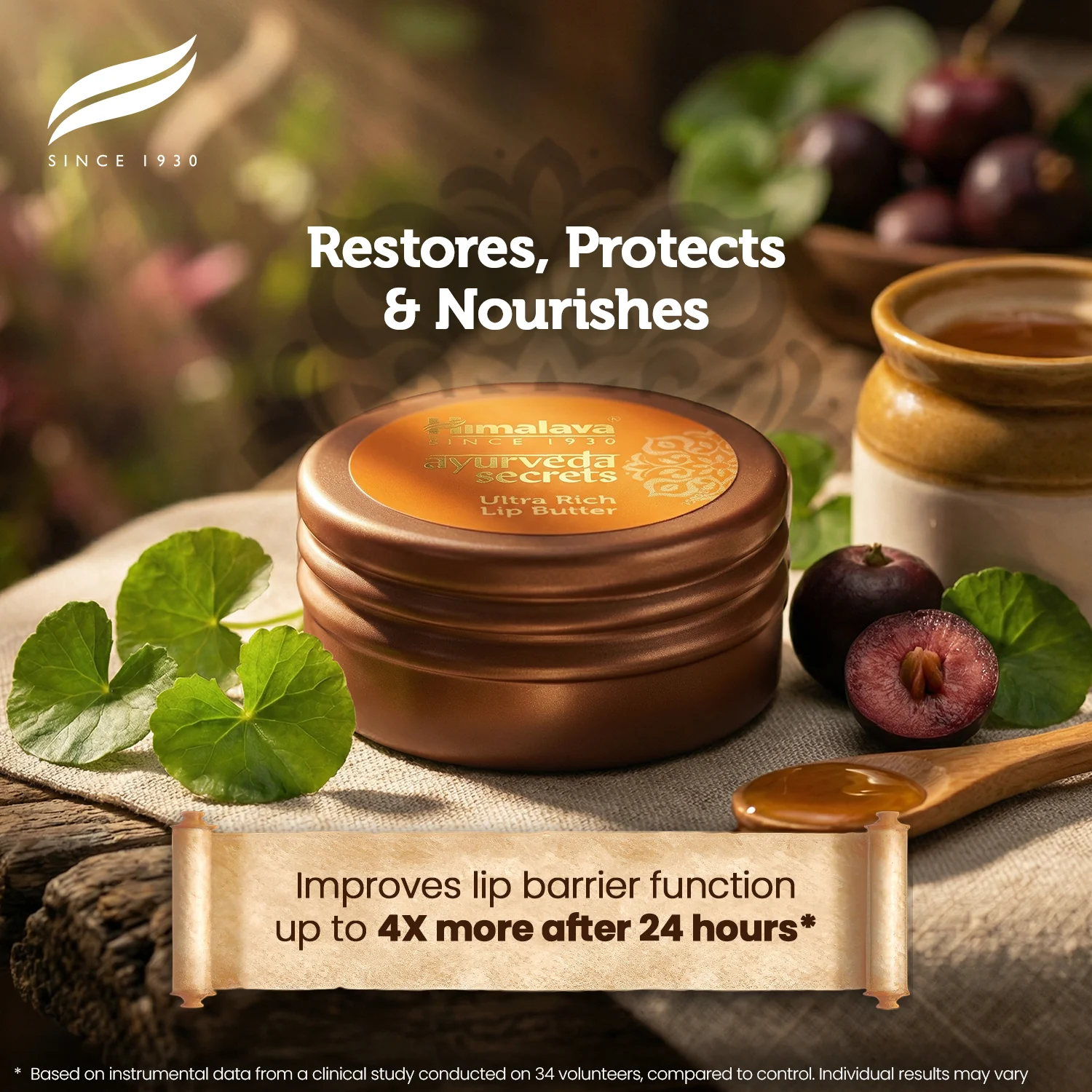Himalaya AYURVEDA SECRETS ULTRA RICH LIP BUTTER - Image 3