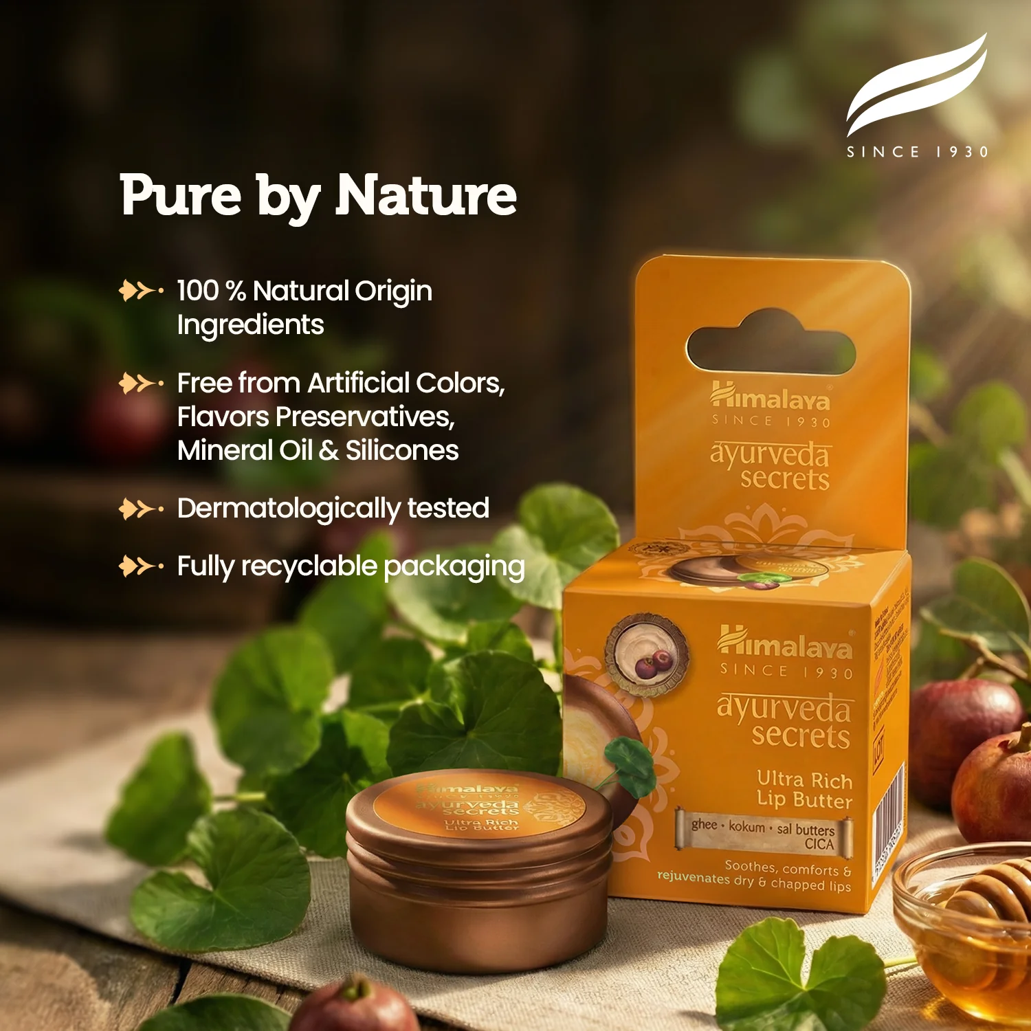 Himalaya AYURVEDA SECRETS ULTRA RICH LIP BUTTER - Image 4