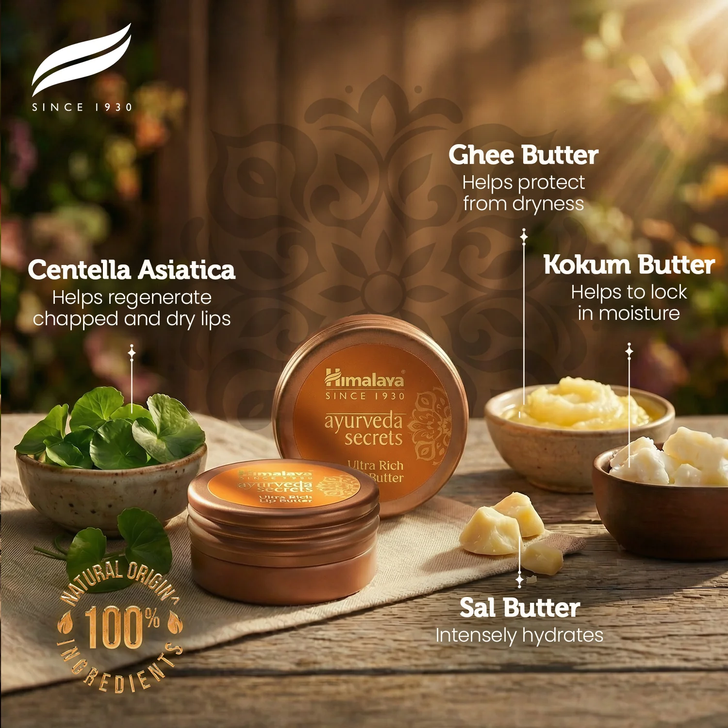 Himalaya AYURVEDA SECRETS ULTRA RICH LIP BUTTER - Image 6