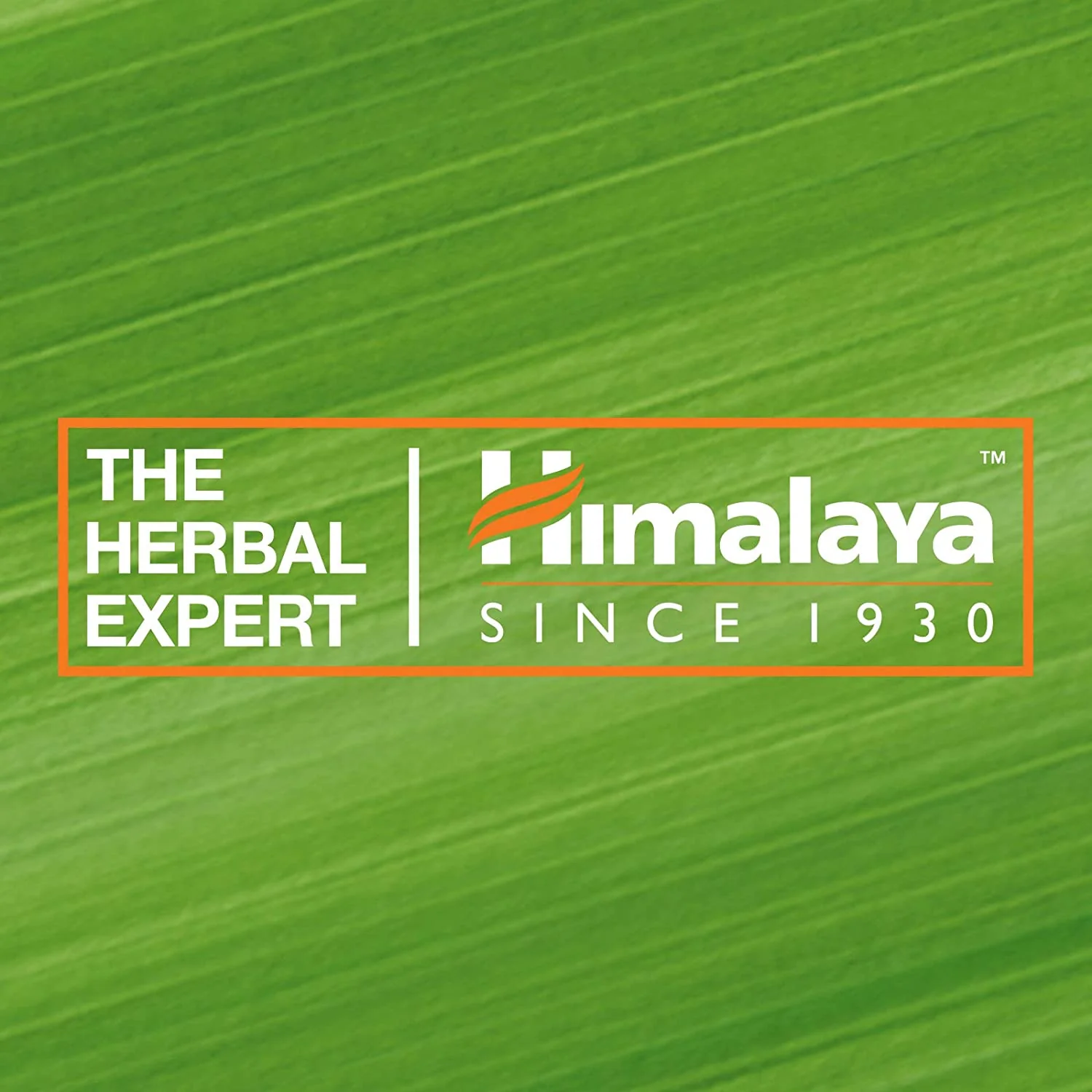 Himalaya Blackhead Clearing Walnut Face Wash - 150 ml - Image 7