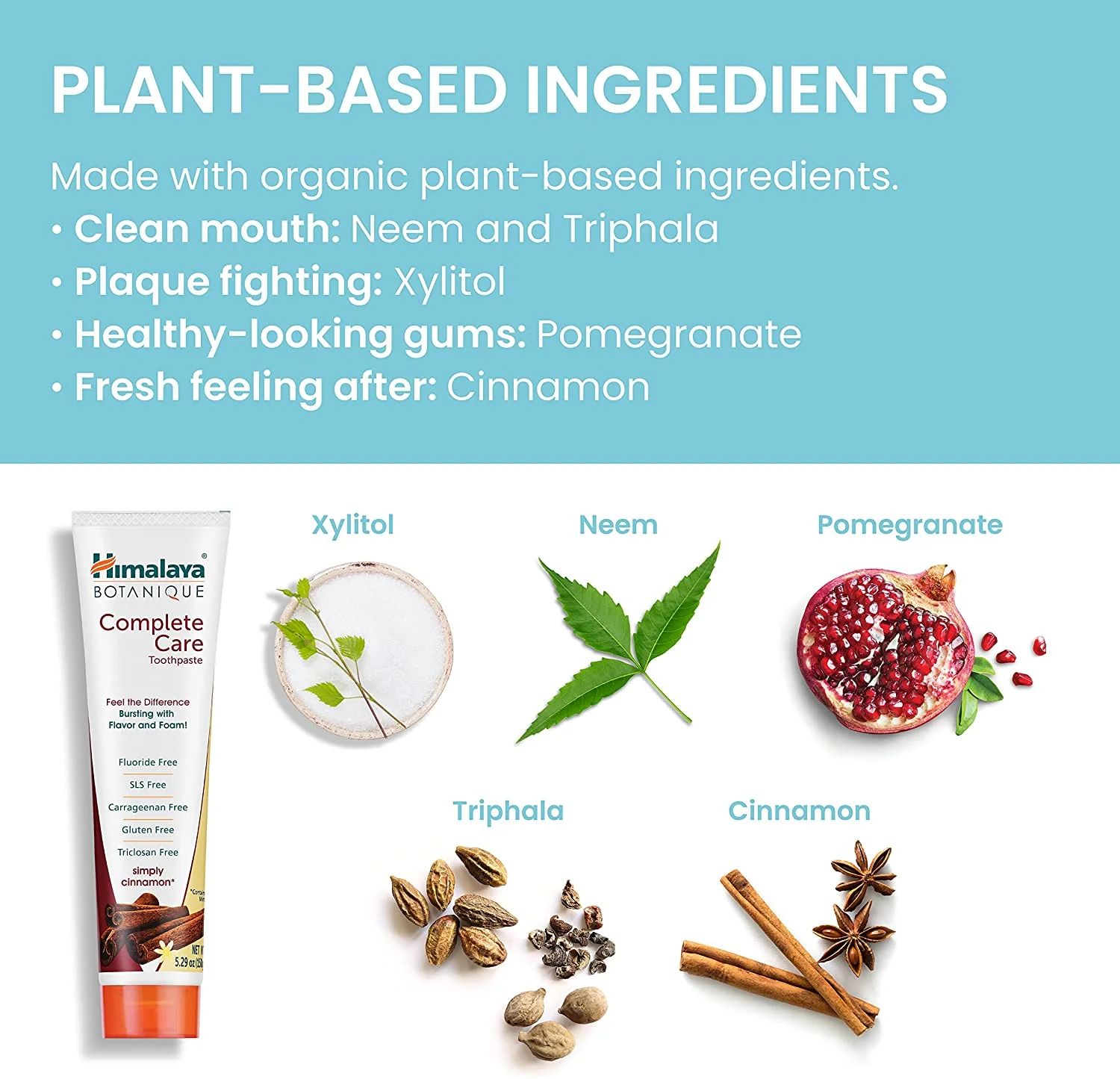 Himalaya BOTANIQUE Complete Care Toothpaste - Simply Cinnamon - 150 g - Image 4