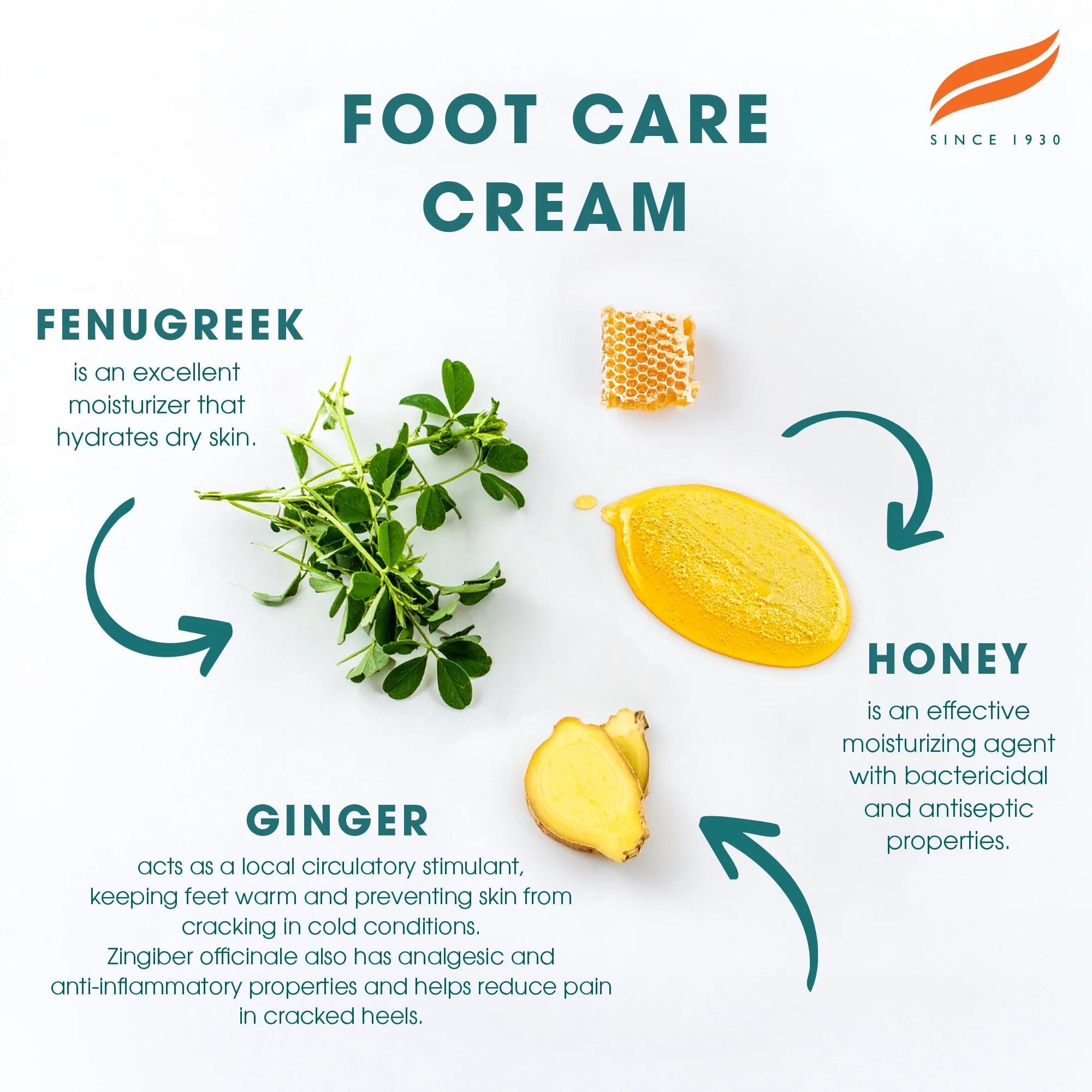 Himalaya Foot Care Cream - 75ml - Image 4