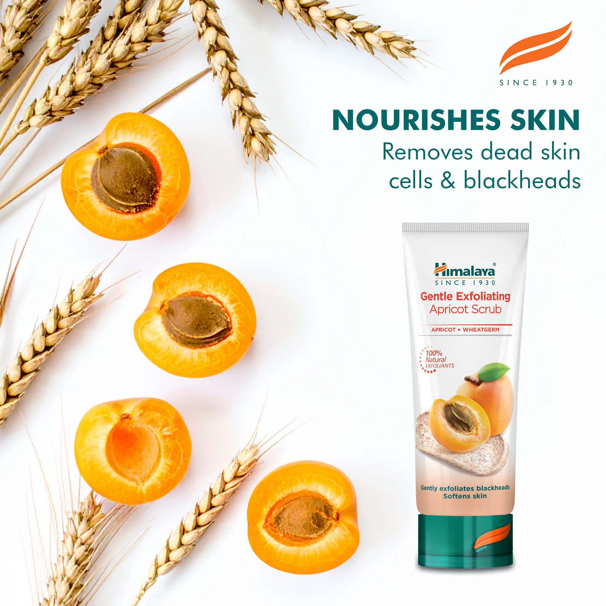 Himalaya Gentle Exfoliating Apricot Scrub - 75ml - Image 3