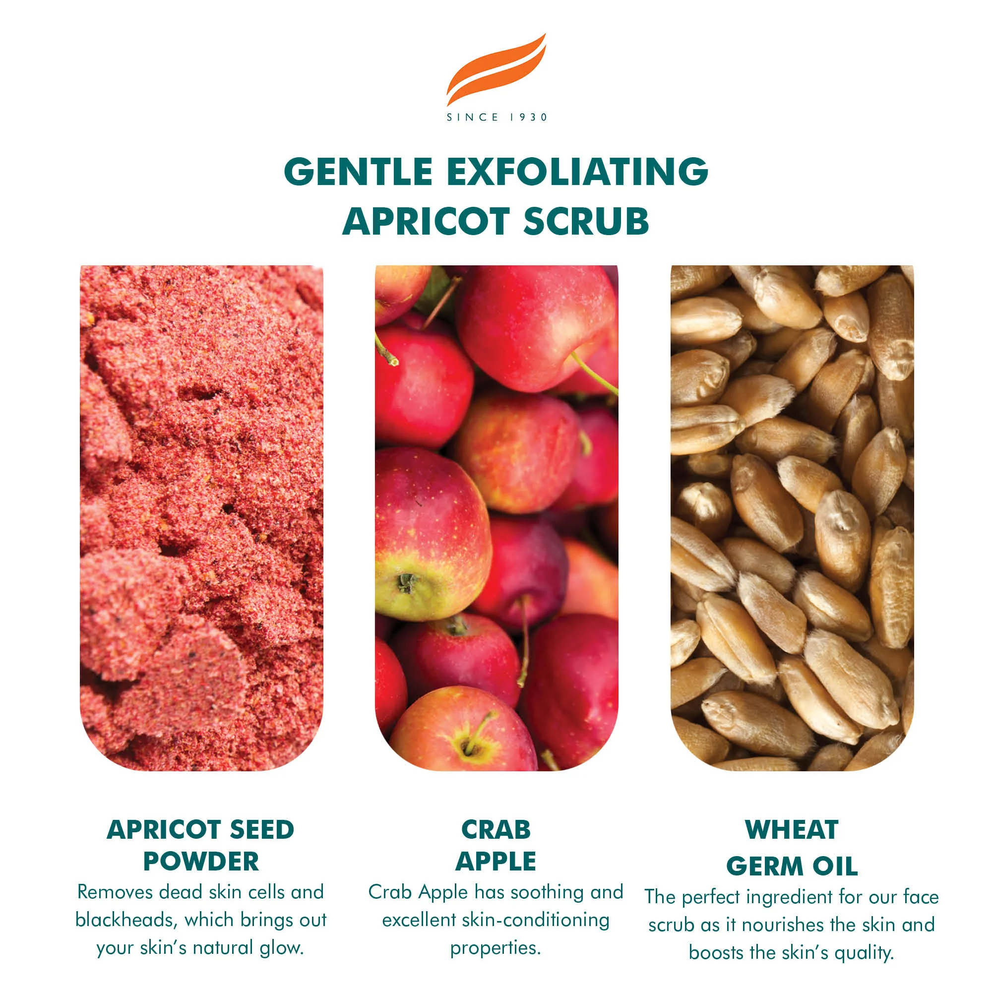 Himalaya Gentle Exfoliating Apricot Scrub - 75ml - Image 4
