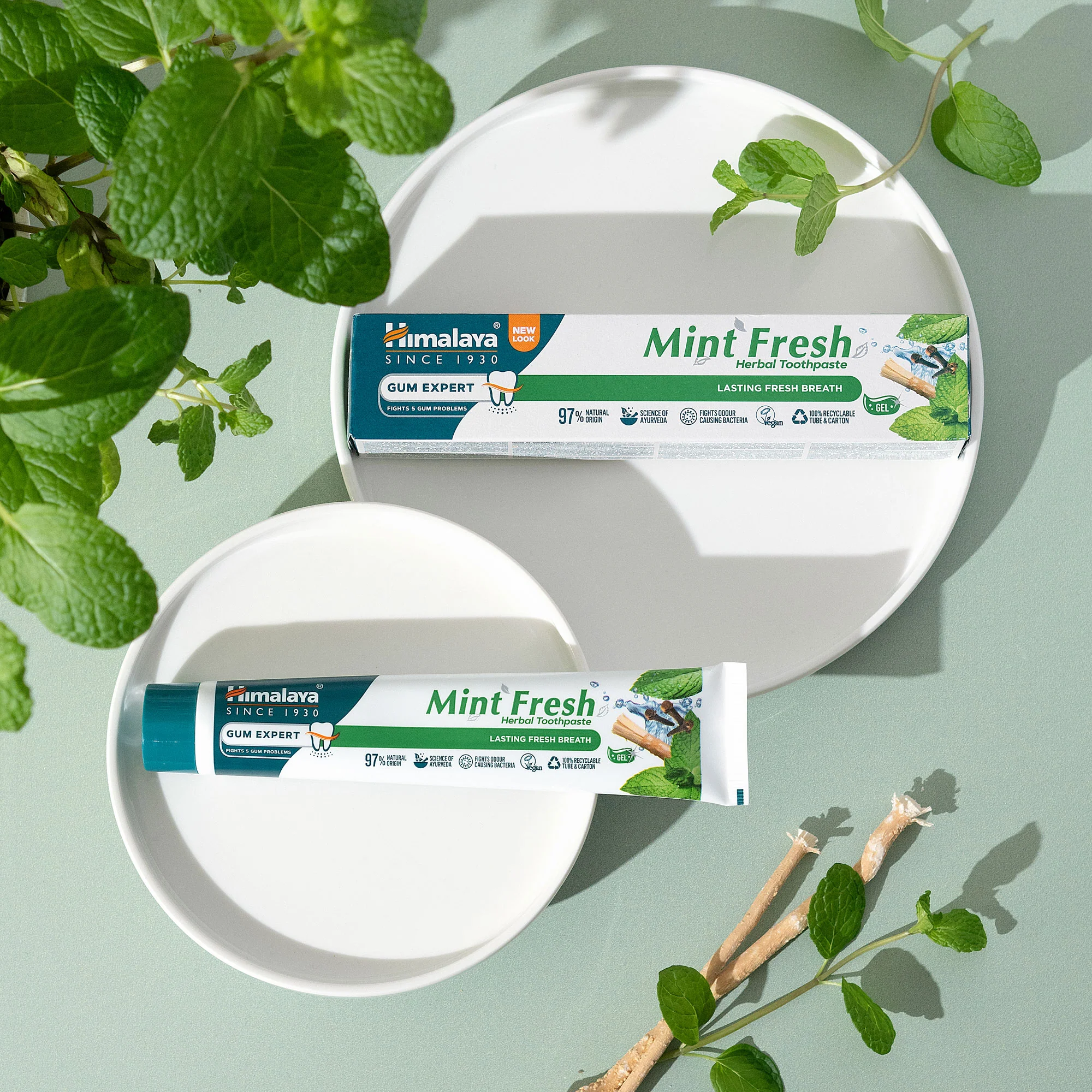 Himalaya Gum Expert Herbal Toothpaste - Mint Fresh - 75 ml - Image 3
