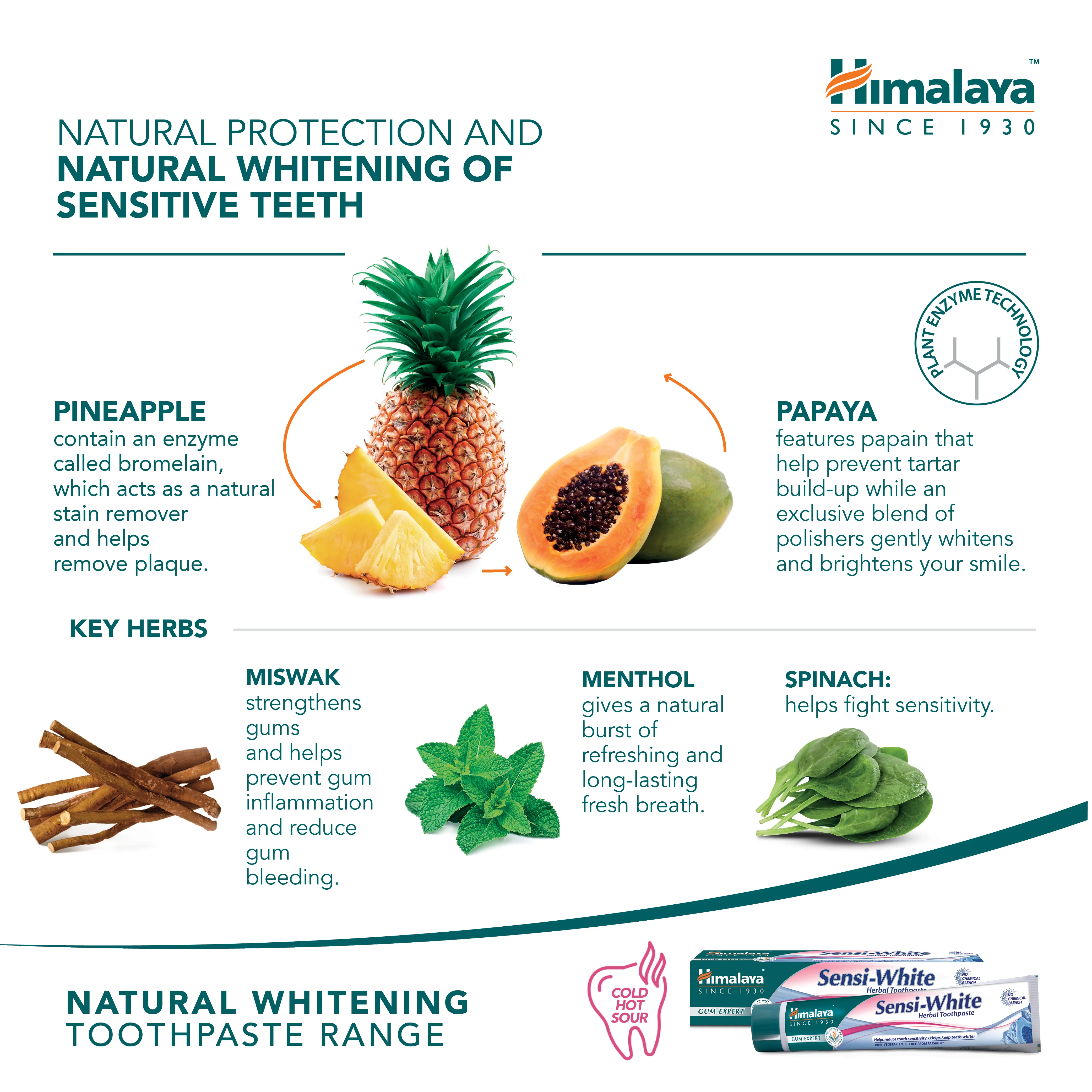 Himalaya Gum Expert Herbal Toothpaste - Sensi White - 75ml - Image 5