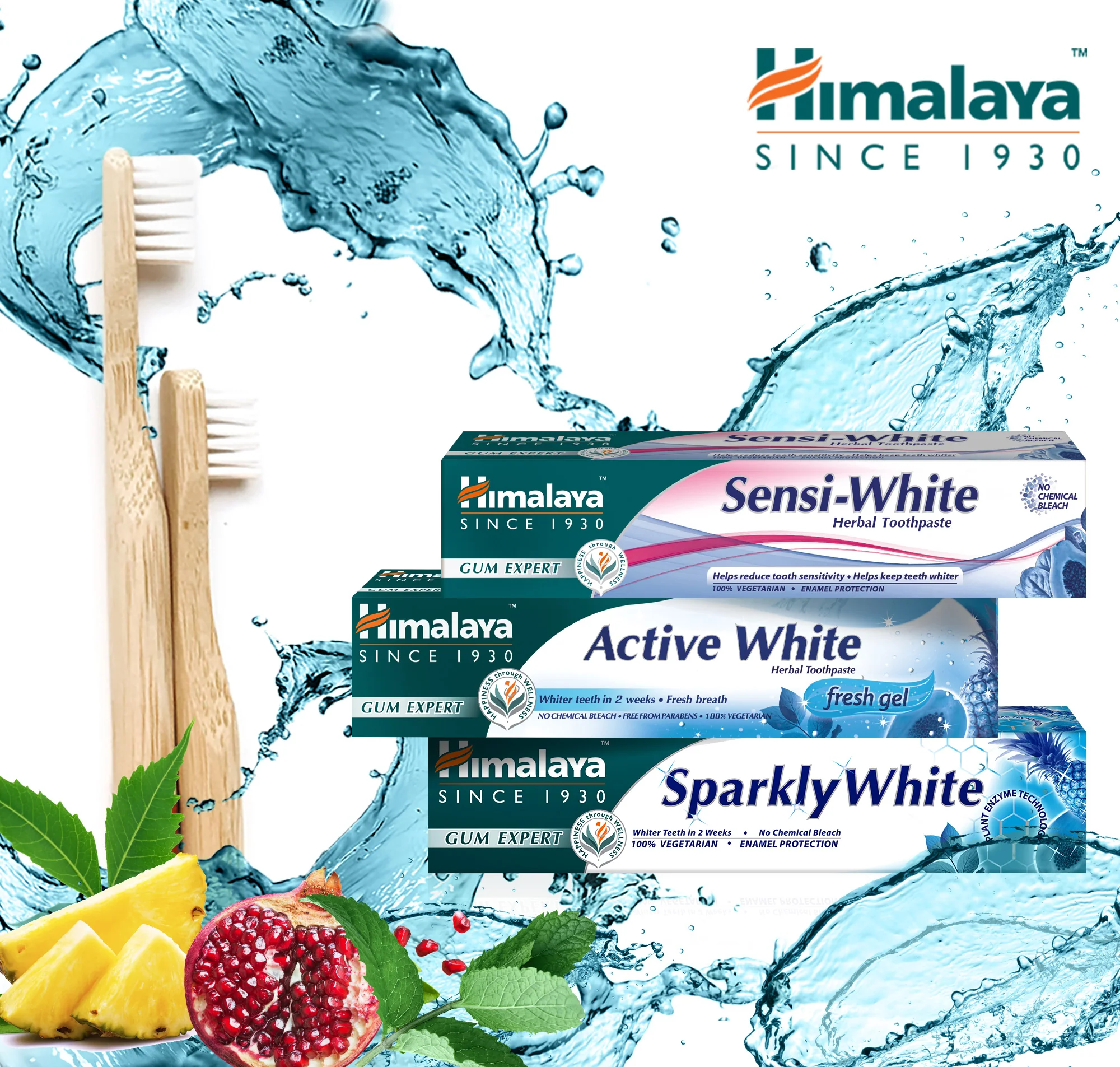 Himalaya Gum Expert Herbal Toothpaste - Sensi White - 75ml - Image 6