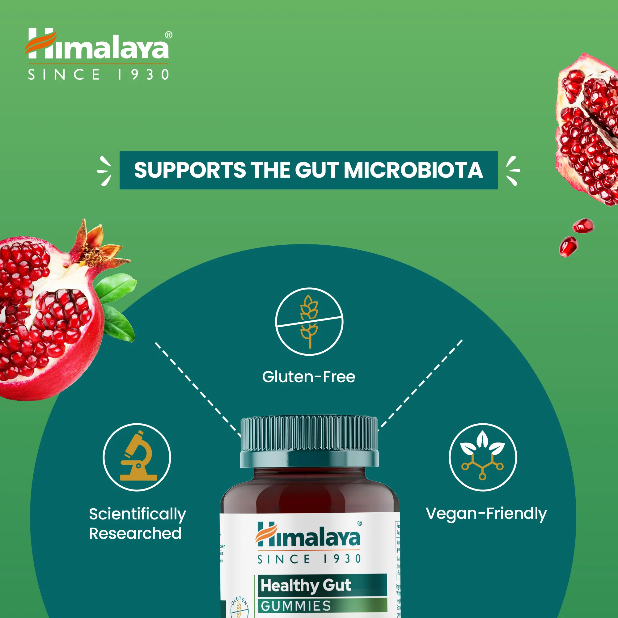 Himalaya Healthy Gut Gummies - Image 3