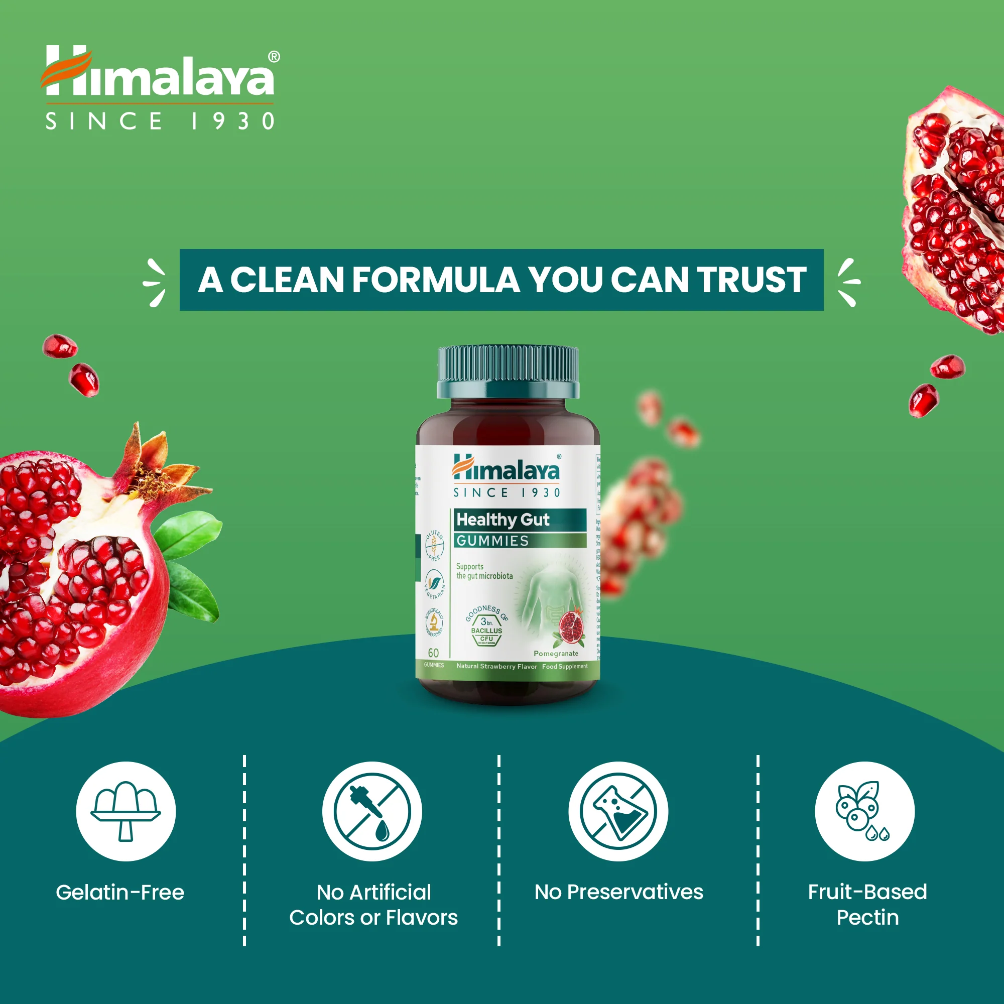 Himalaya Healthy Gut Gummies - Image 4