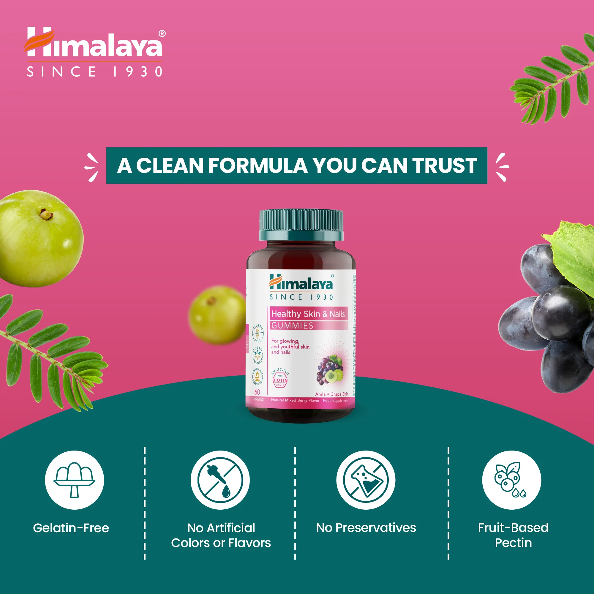 Himalaya Healthy Skin & Nails Gummies - Image 4