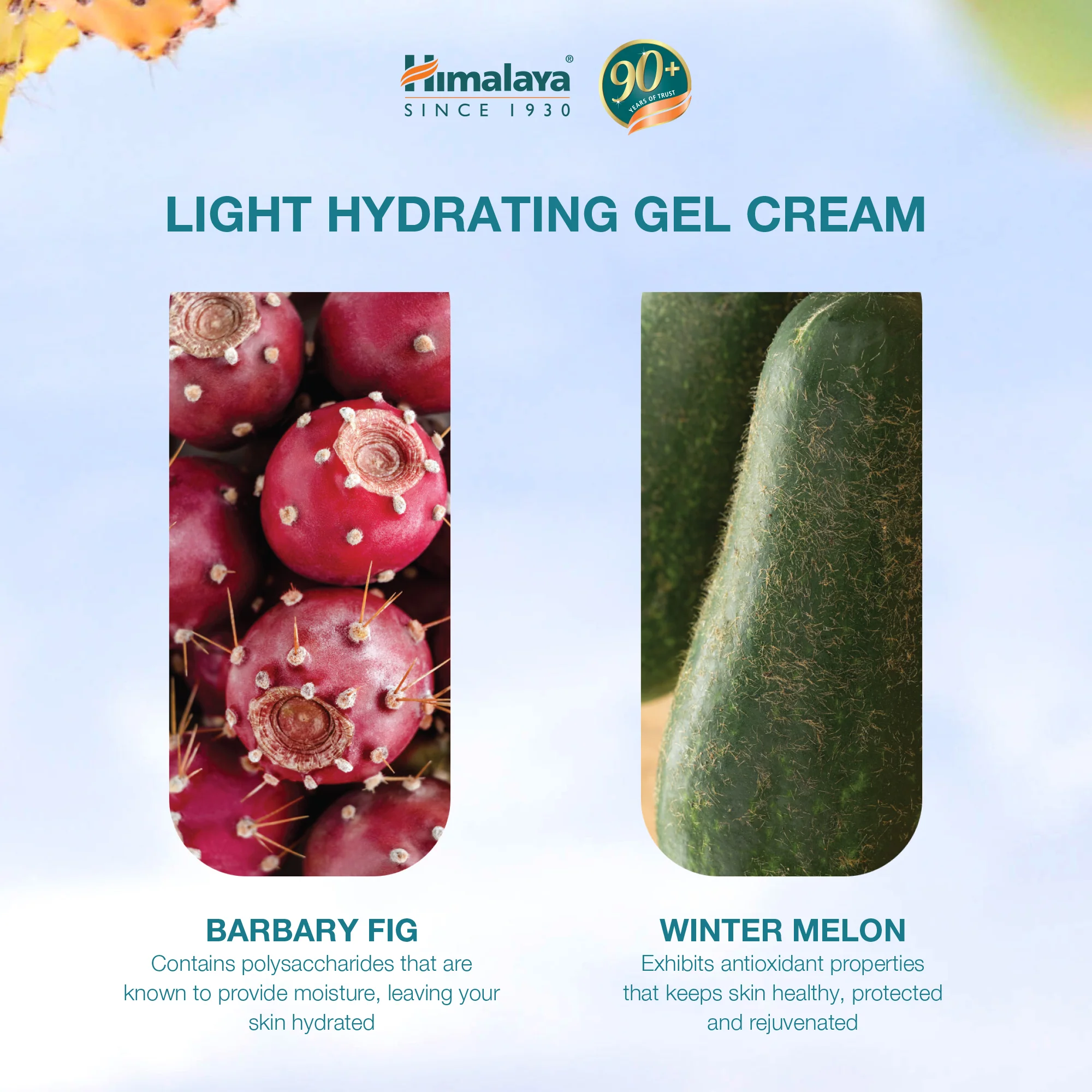 Himalaya Light Hydrating Gel Cream - 50g - Image 4