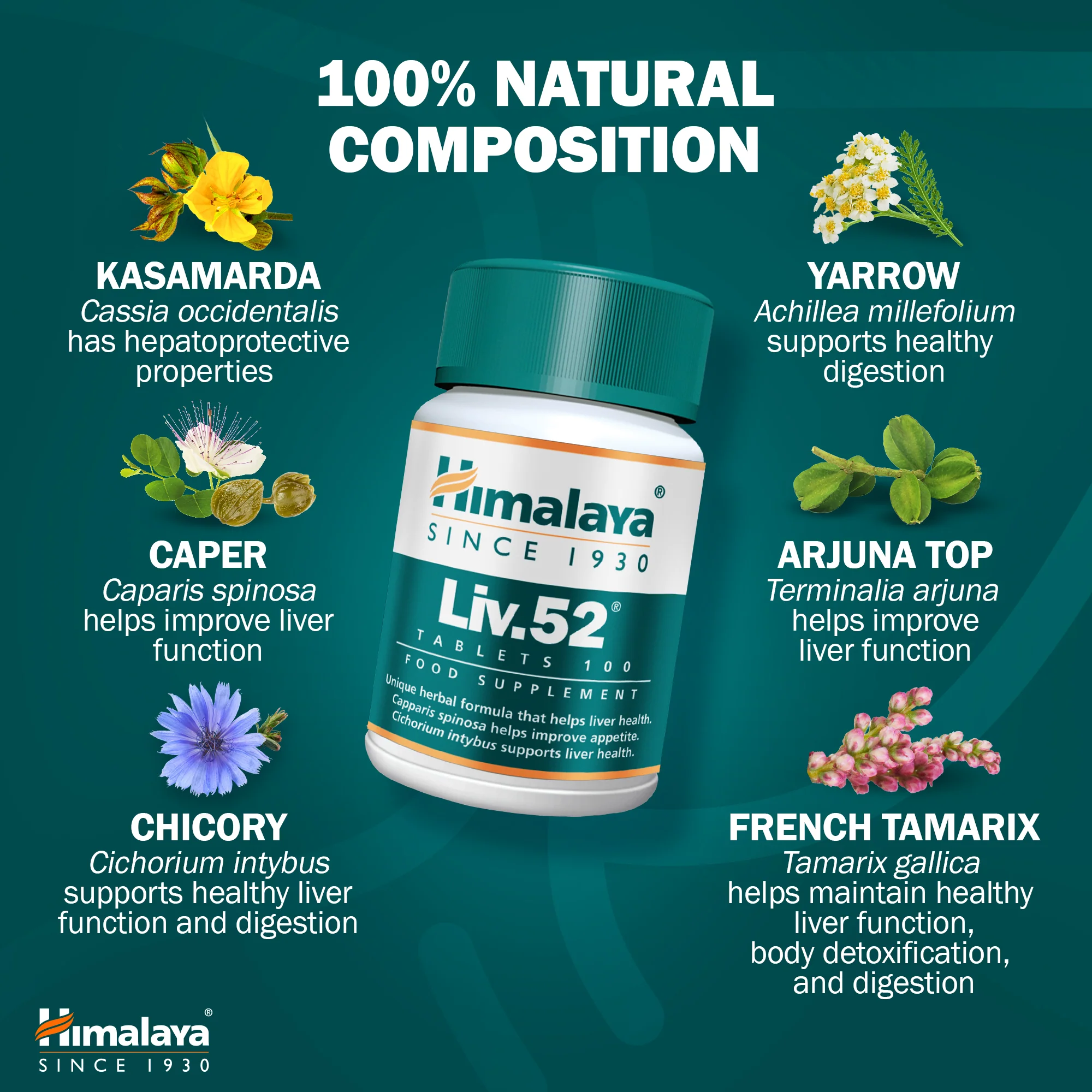 Himalaya Liv.52 - 100 Tablets - Image 5