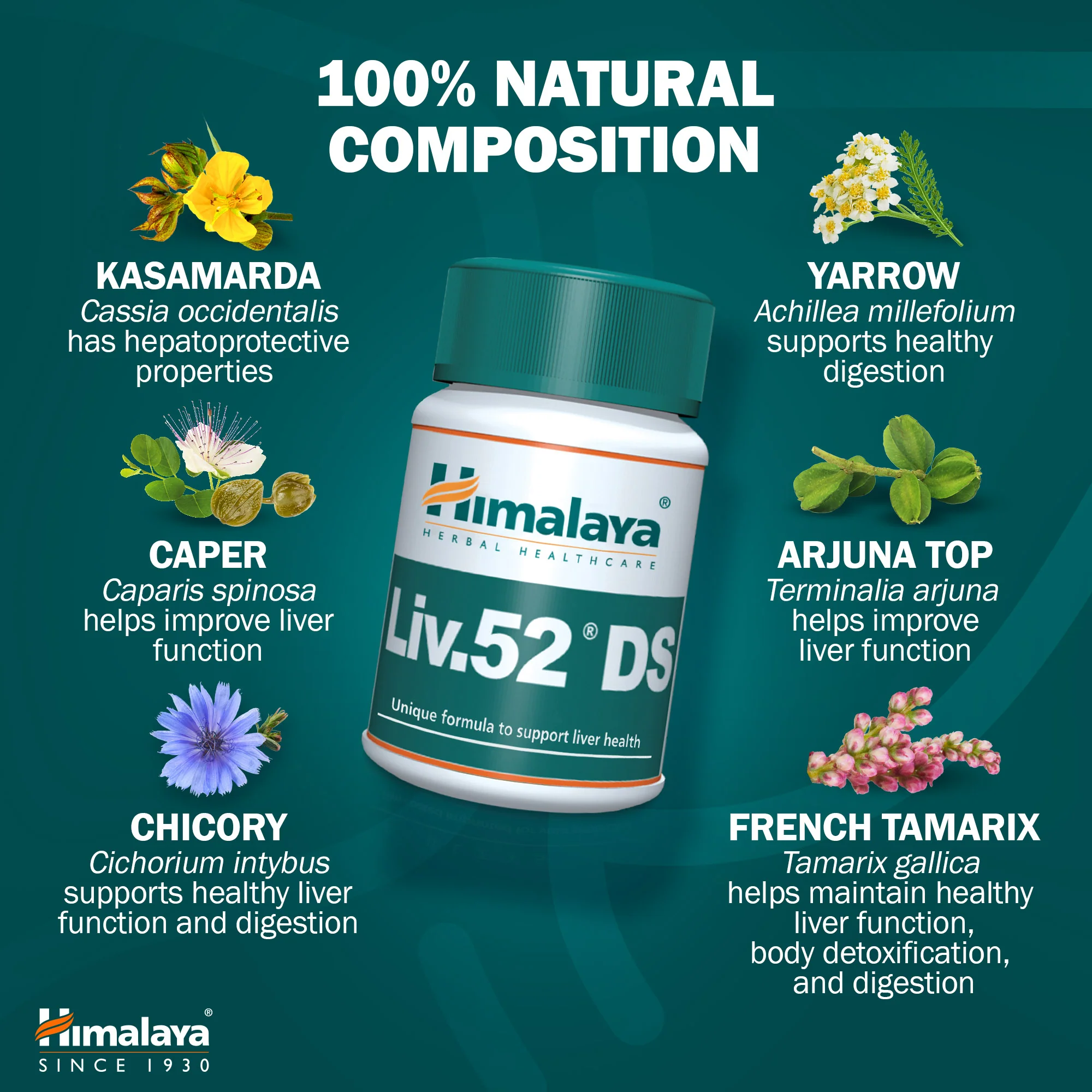 Himalaya Liv.52 DS - 60 Tablets - Image 5