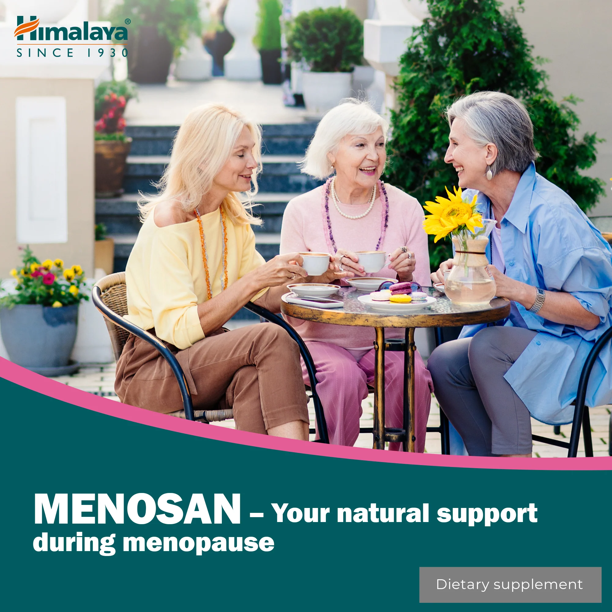 Himalaya Menosan - 60 Tablets - Image 3