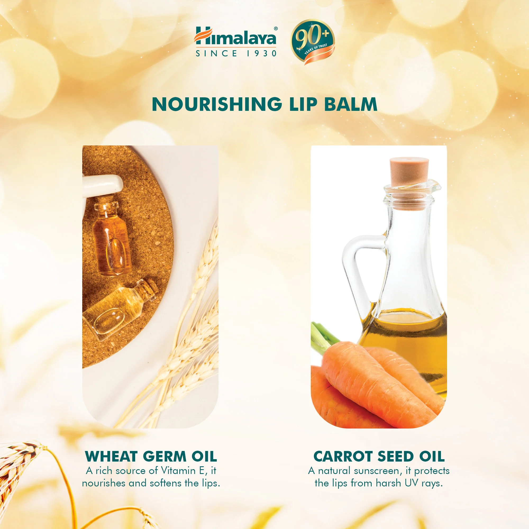 Himalaya Nourishing Lip Balm - 10g - Image 4
