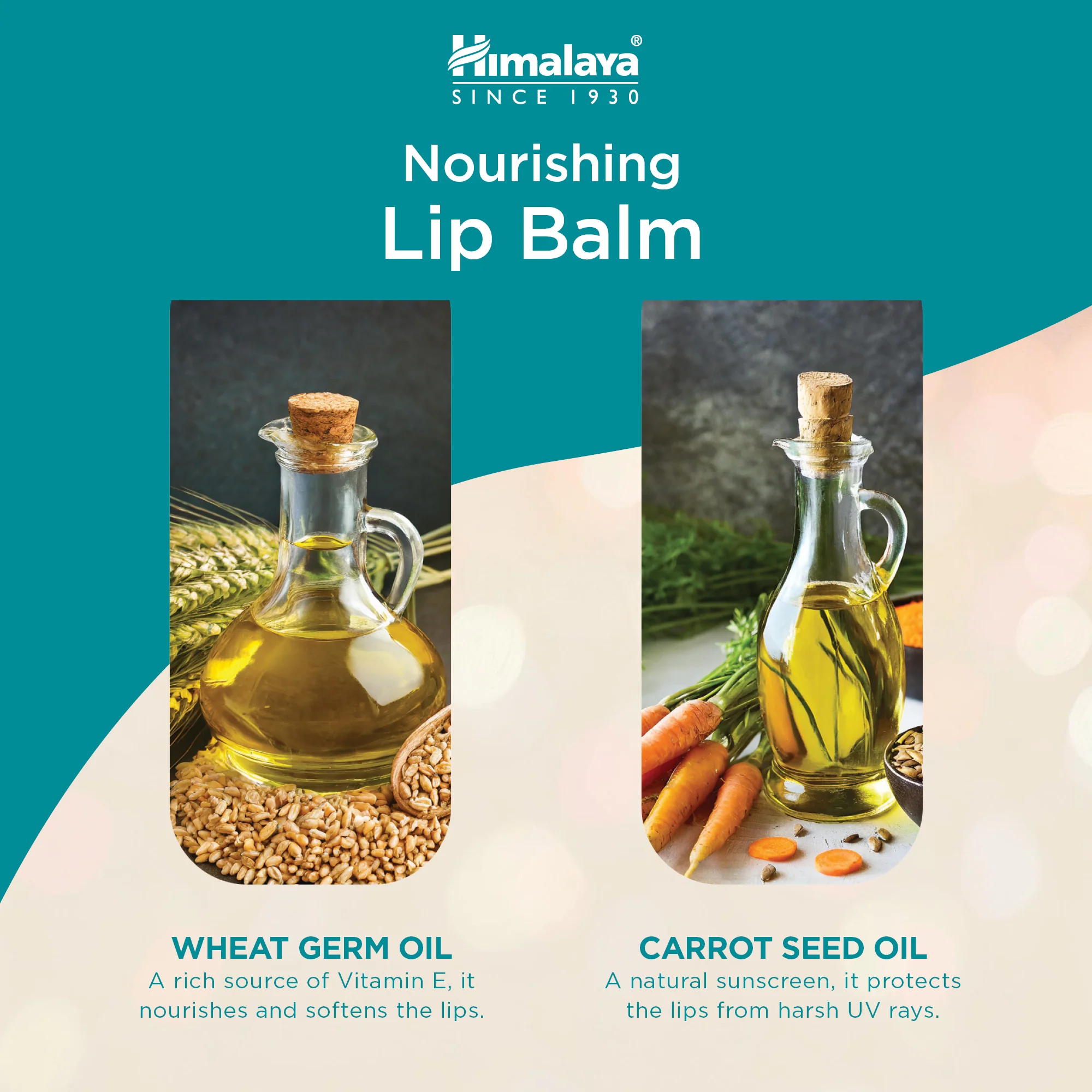 Himalaya Nourishing Lip Balm - 4.5g - Image 4