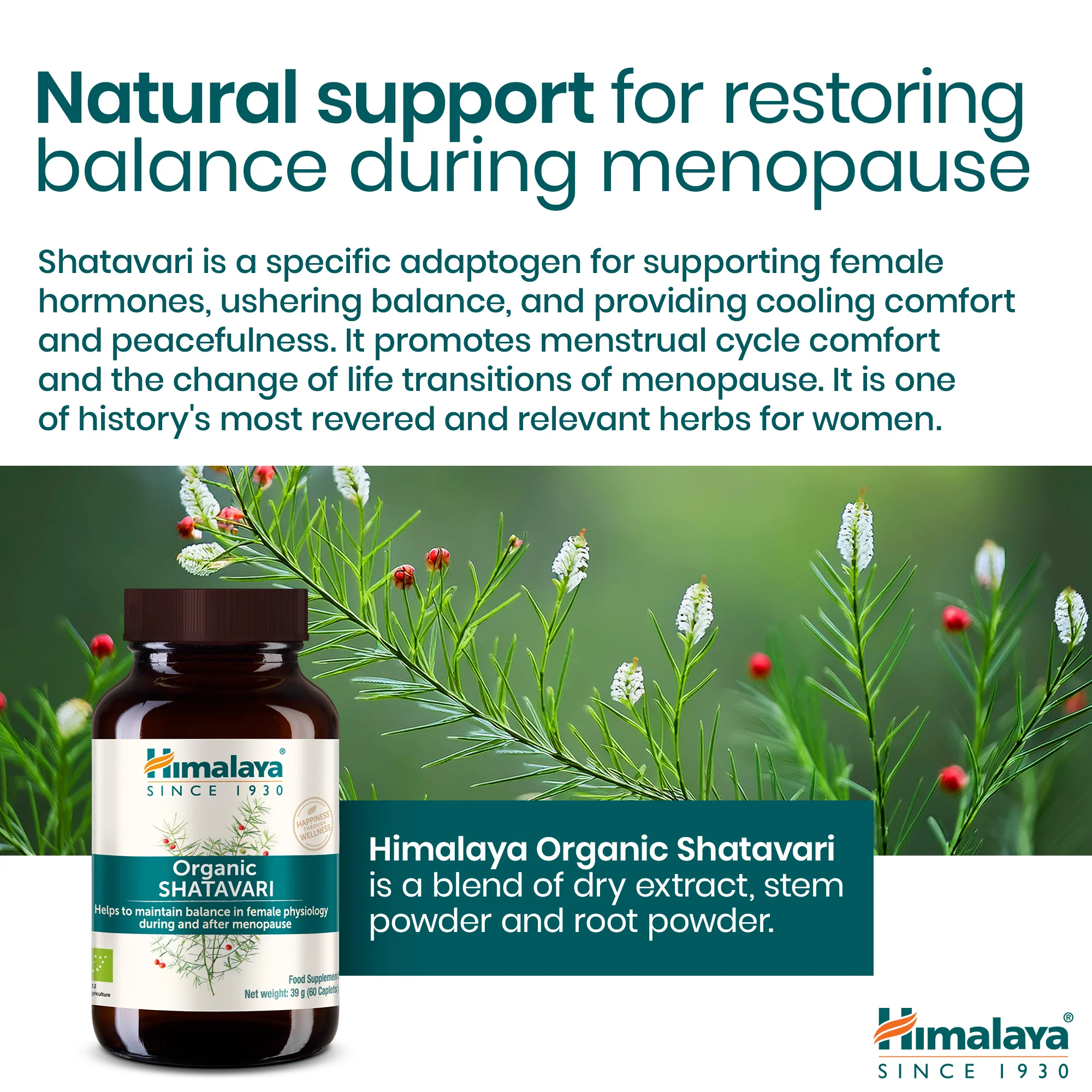 Himalaya Organic Shatavari 60 tablets - Image 5
