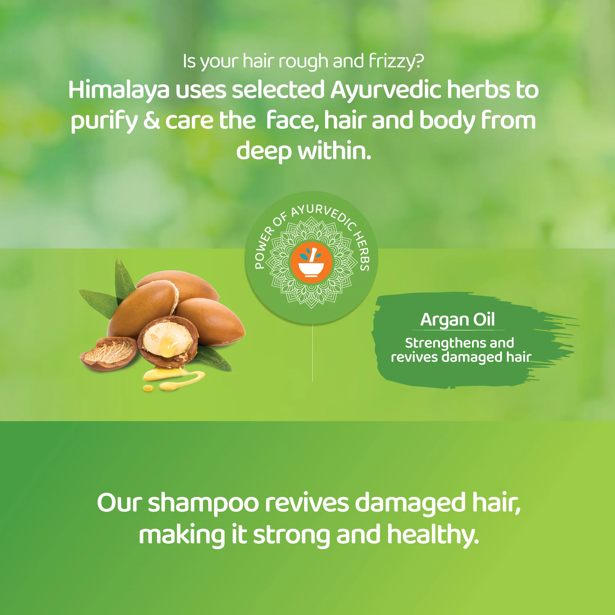 Himalaya Protein Shampoo - Repair & Regenerate - 400ml - Image 3