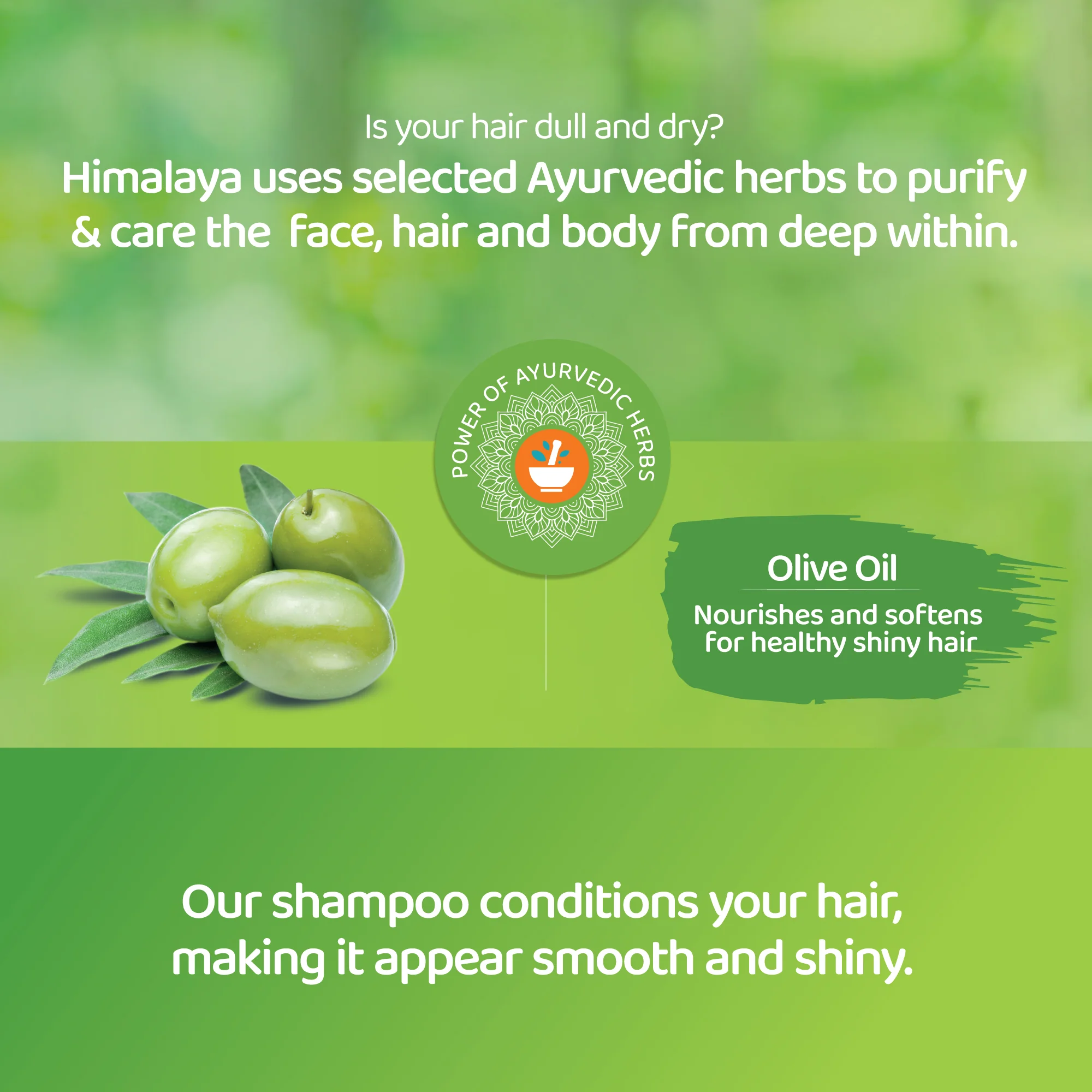 Himalaya Protein Shampoo - Softness & Shine - 400ml - Image 3