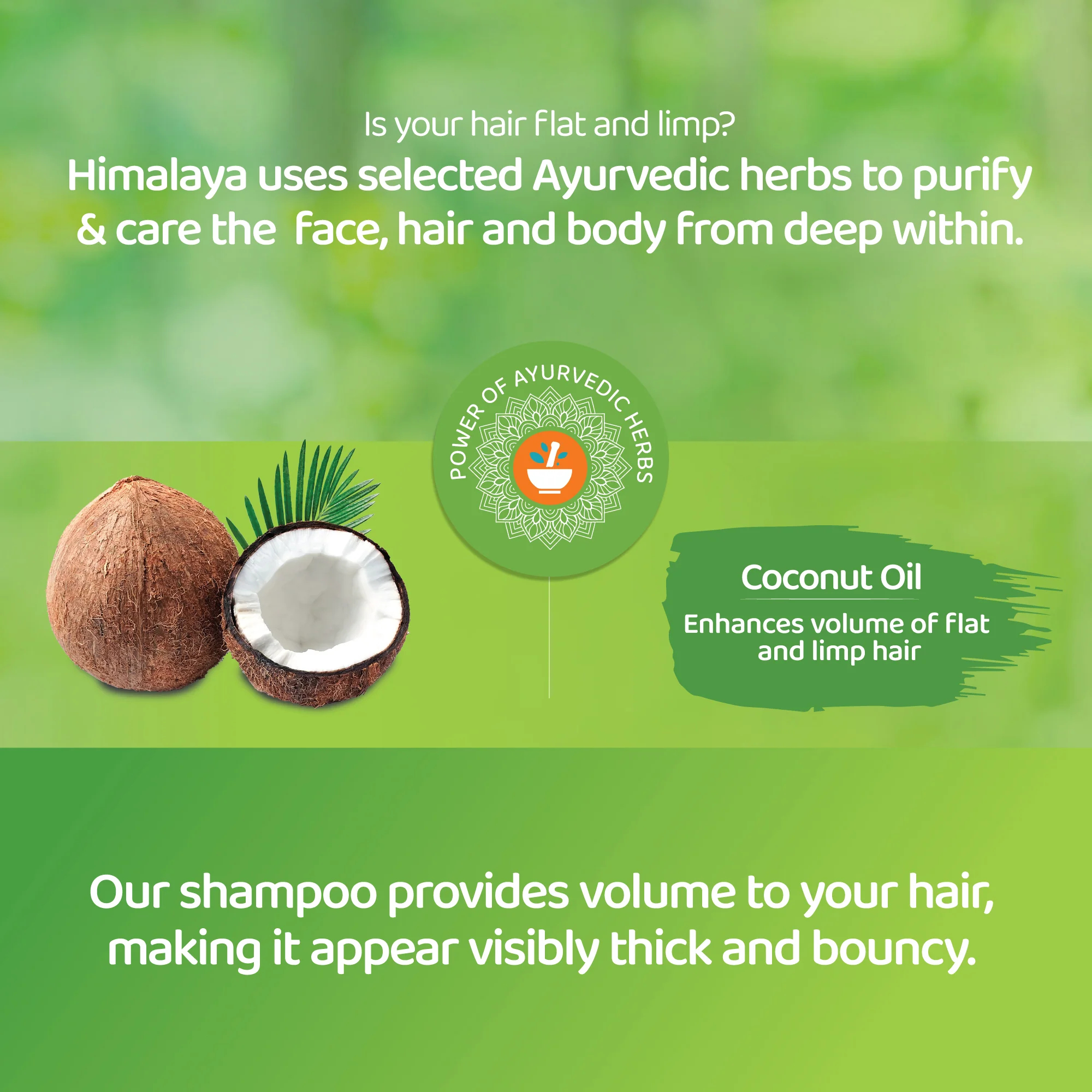 Himalaya Protein Shampoo - Volume & Thickness - 400ml - Image 3