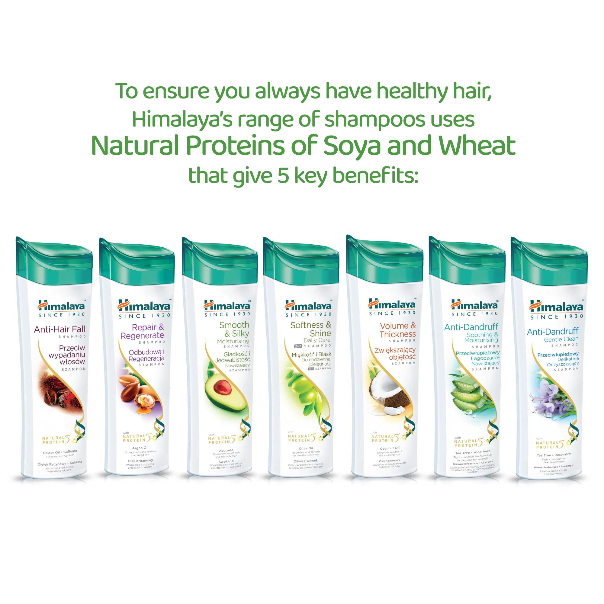 Himalaya Protein Shampoo - Volume & Thickness - 400ml - Image 6