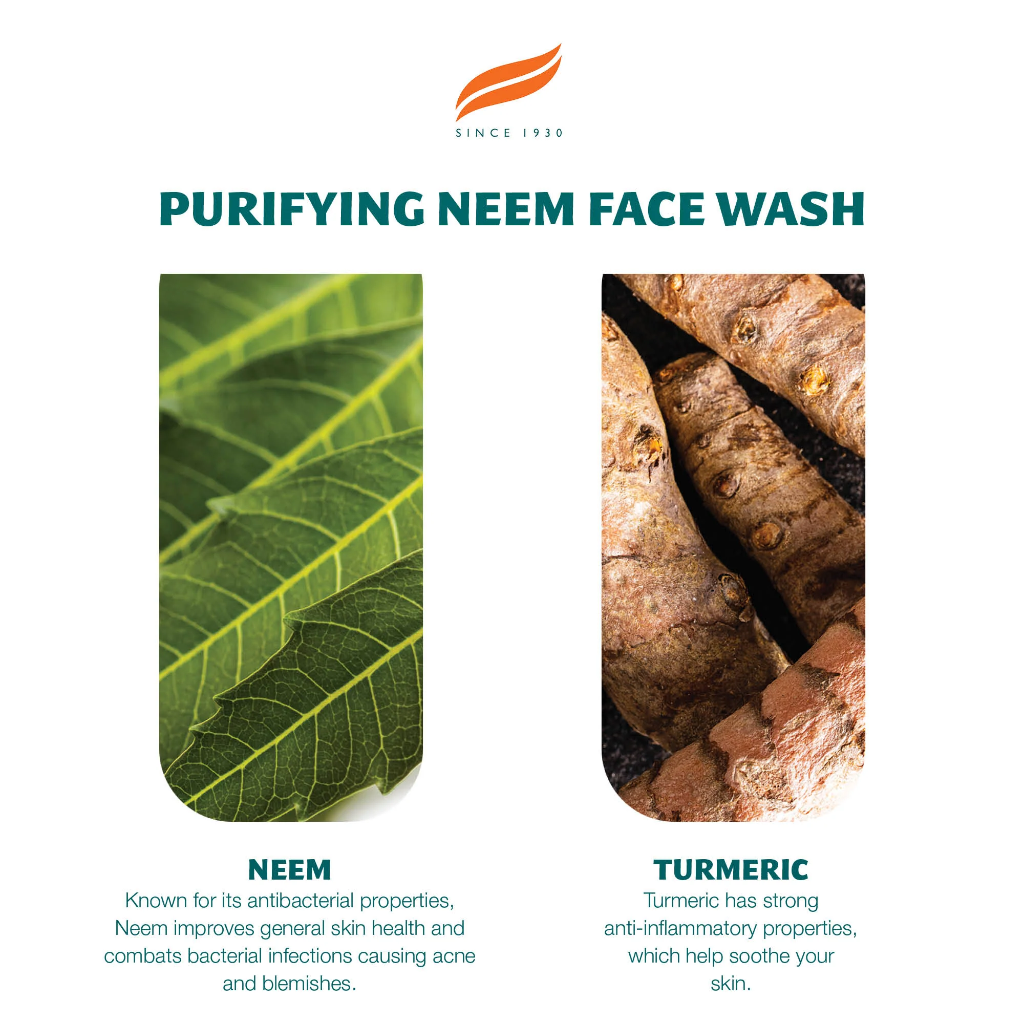 Himalaya Purifying Neem Face Wash - 150ml - Image 4