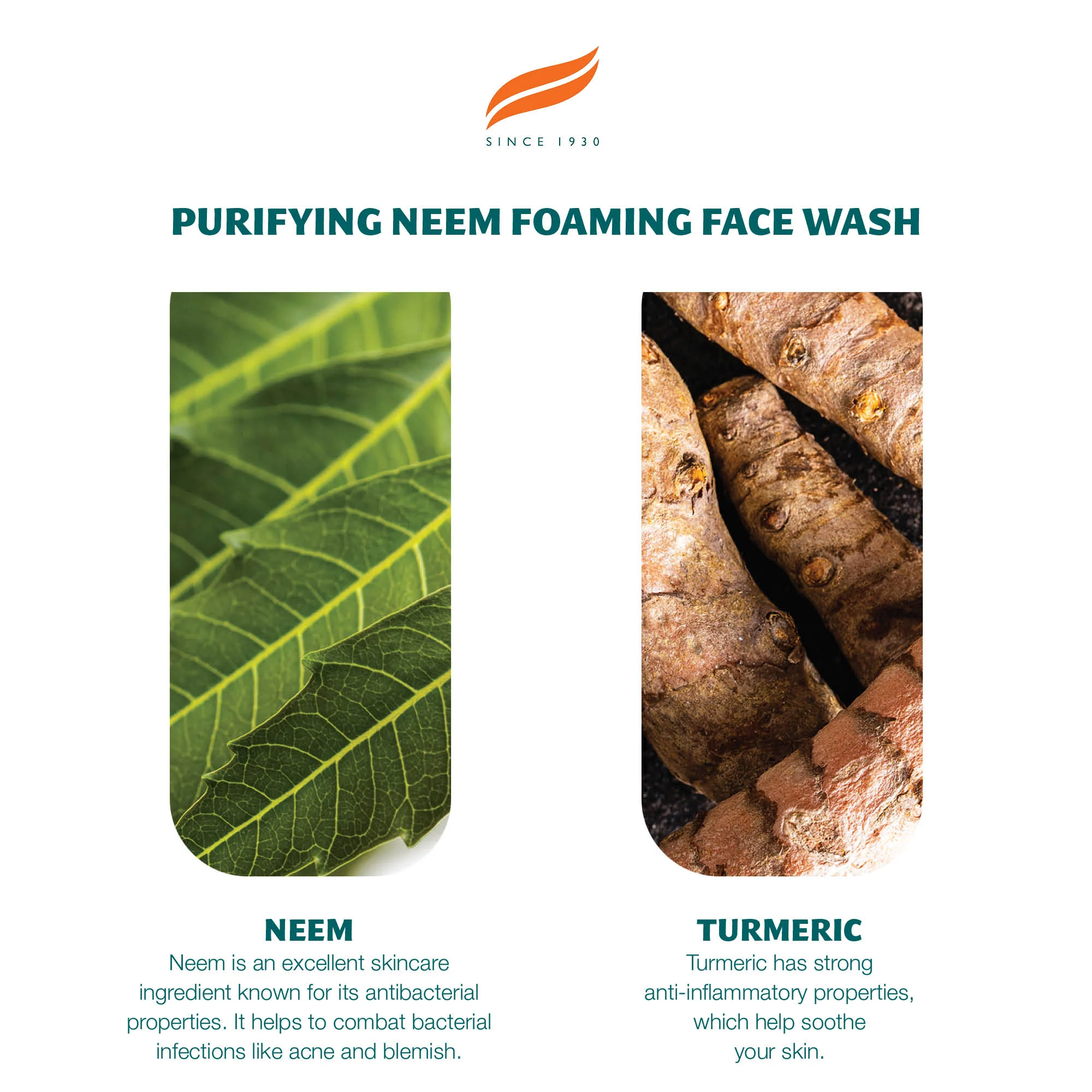 Himalaya Purifying Neem Foaming Face Wash - 150ml - Image 4