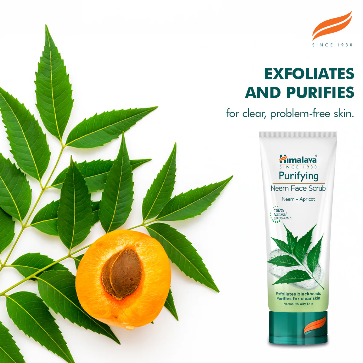 Himalaya Purifying Neem Scrub - 75ml - Image 3