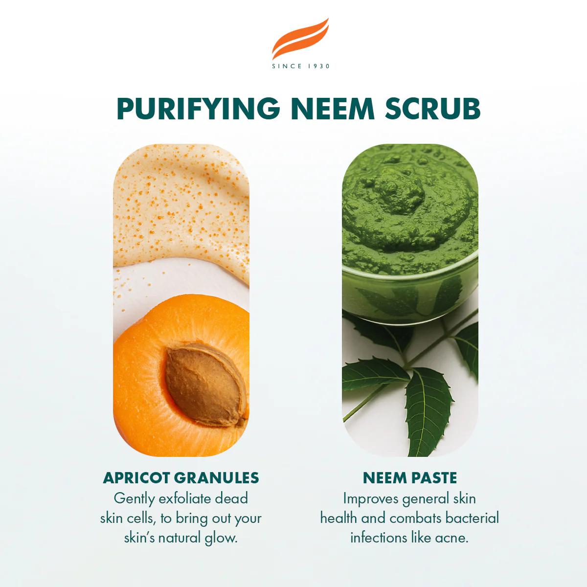 Himalaya Purifying Neem Scrub - 75ml - Image 4