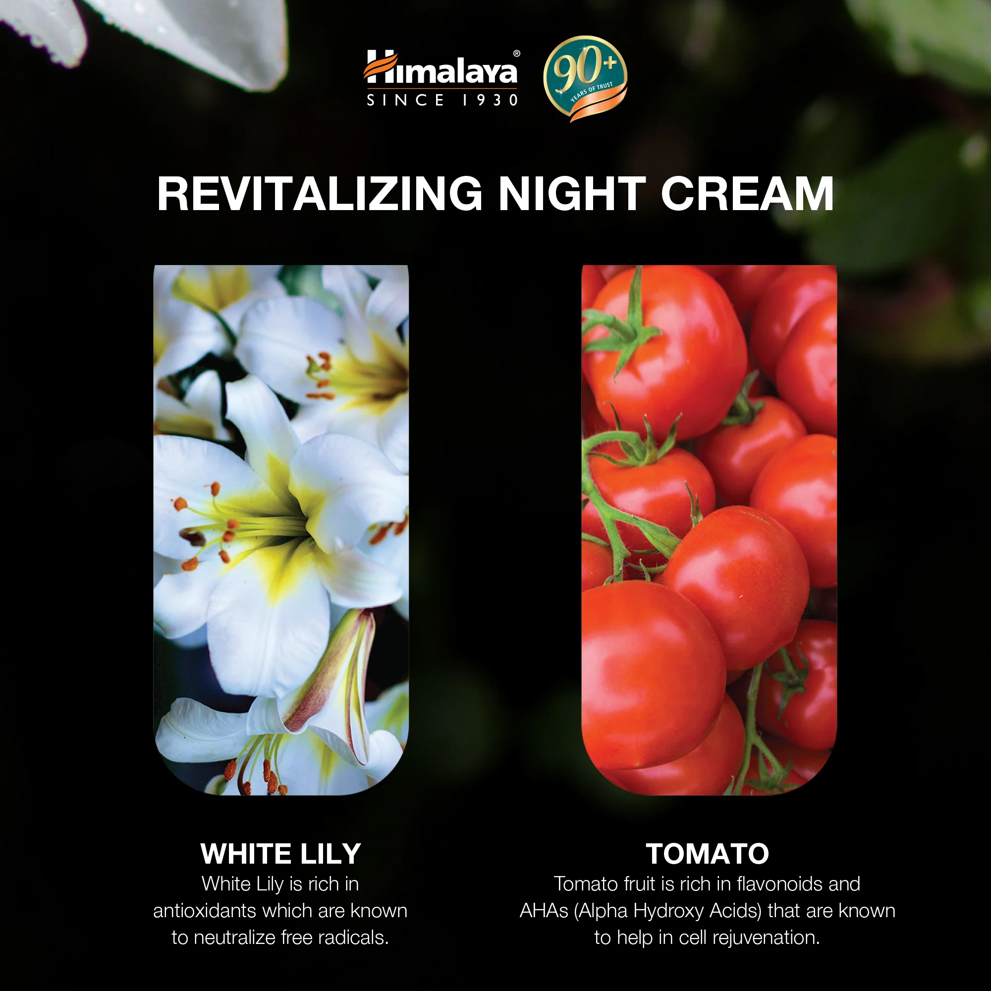 Himalaya Revitalizing Night Cream - 50g - Image 4