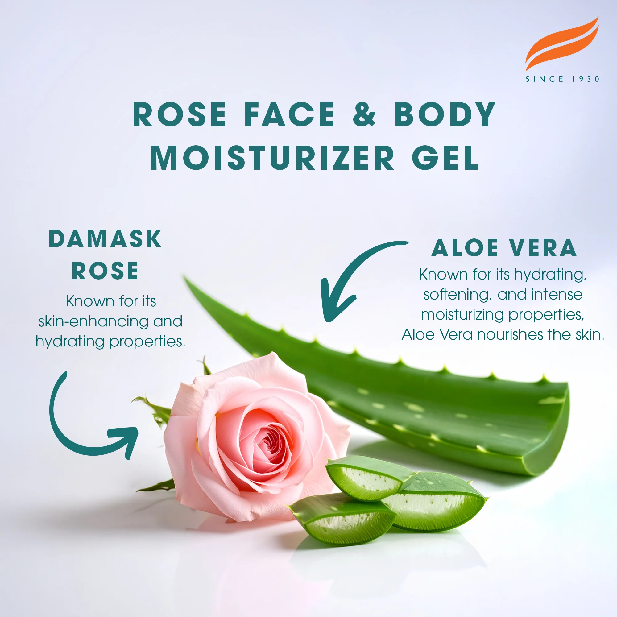 Himalaya Rose Face & Body Moisturizer Gel - 300ml - Image 4