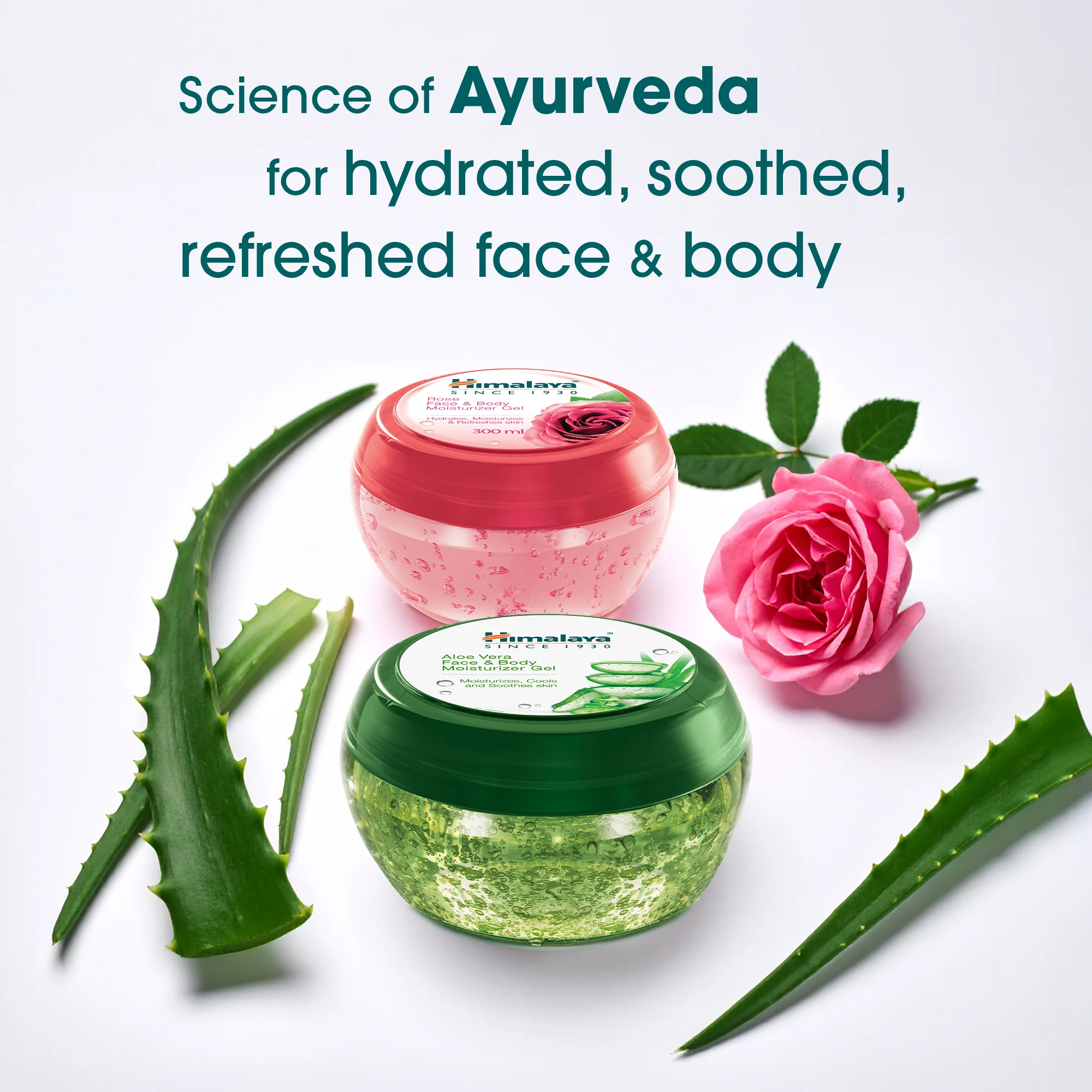 Himalaya Rose Face & Body Moisturizer Gel - 300ml - Image 6
