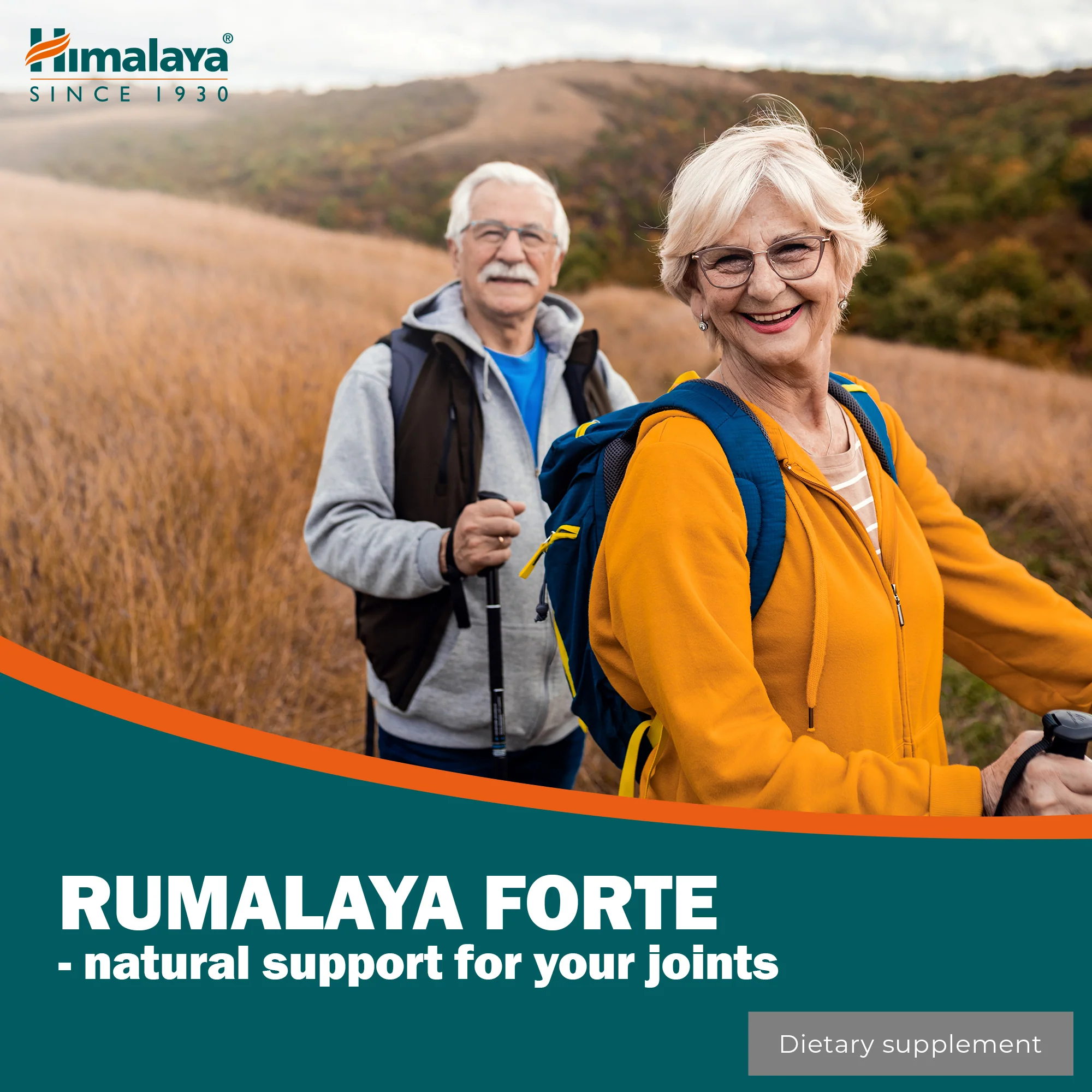 Himalaya Rumalaya forte - 60 Tablets - Image 3