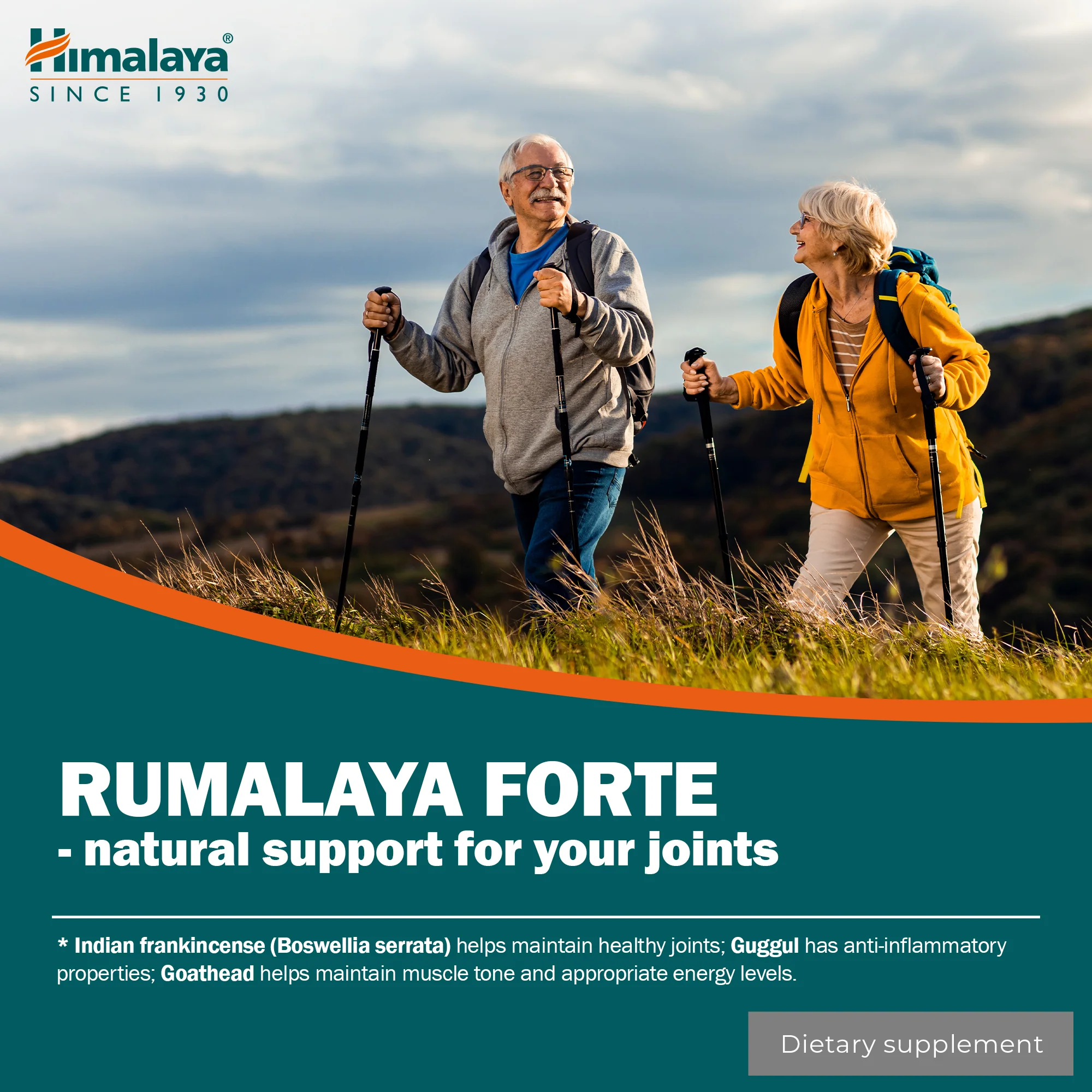 Himalaya Rumalaya forte - 60 Tablets - Image 4