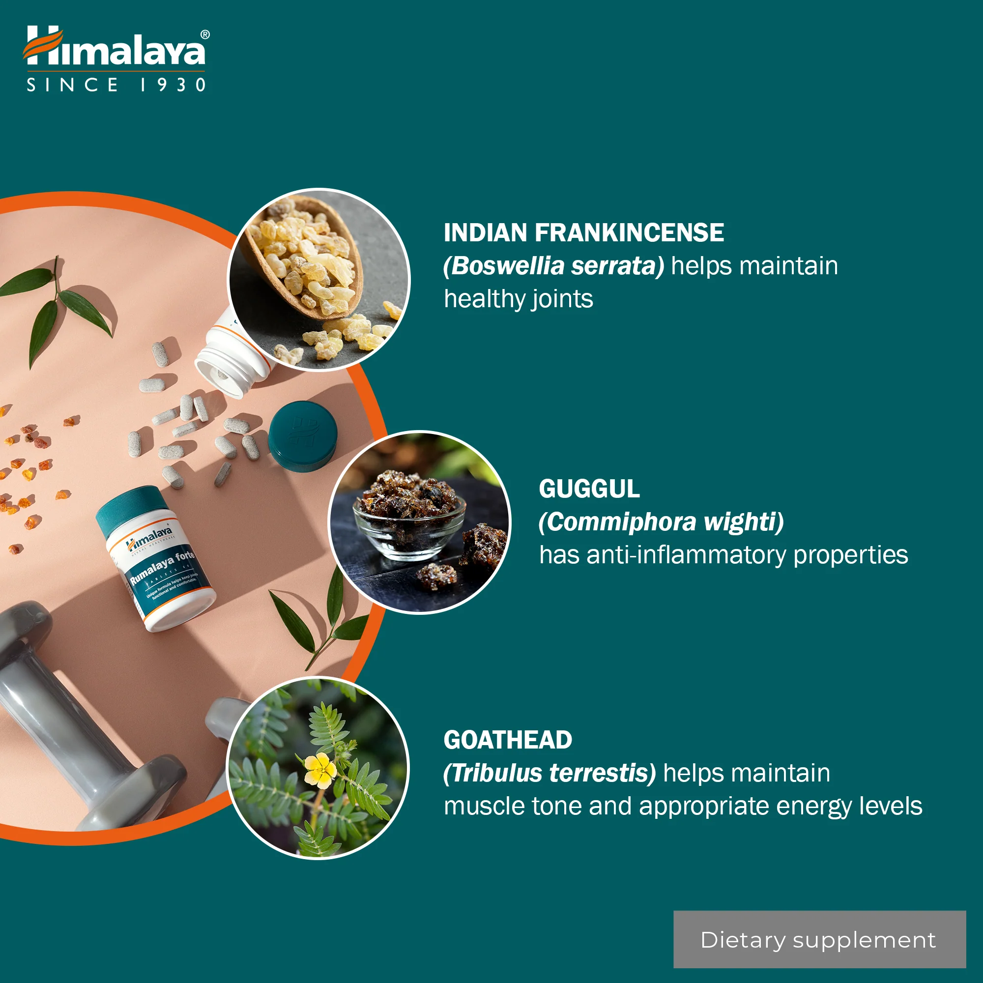 Himalaya Rumalaya forte - 60 Tablets - Image 5