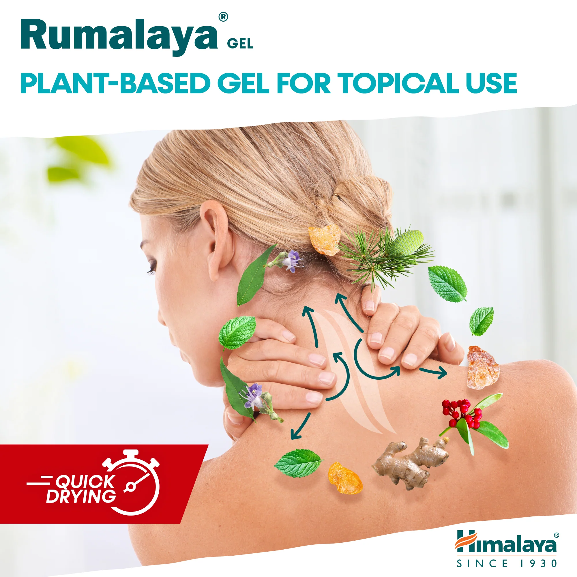 Himalaya Rumalaya gel - 50g - Image 4