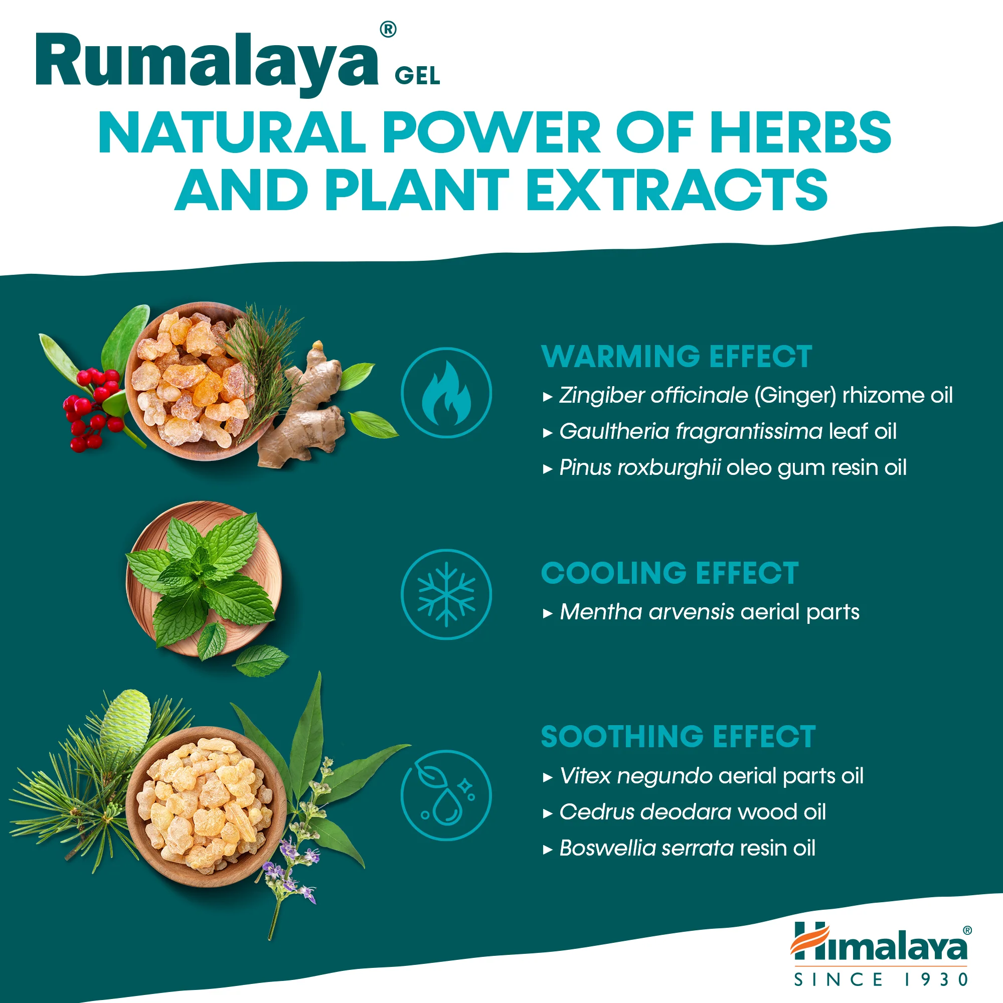 Himalaya Rumalaya gel - 50g - Image 5