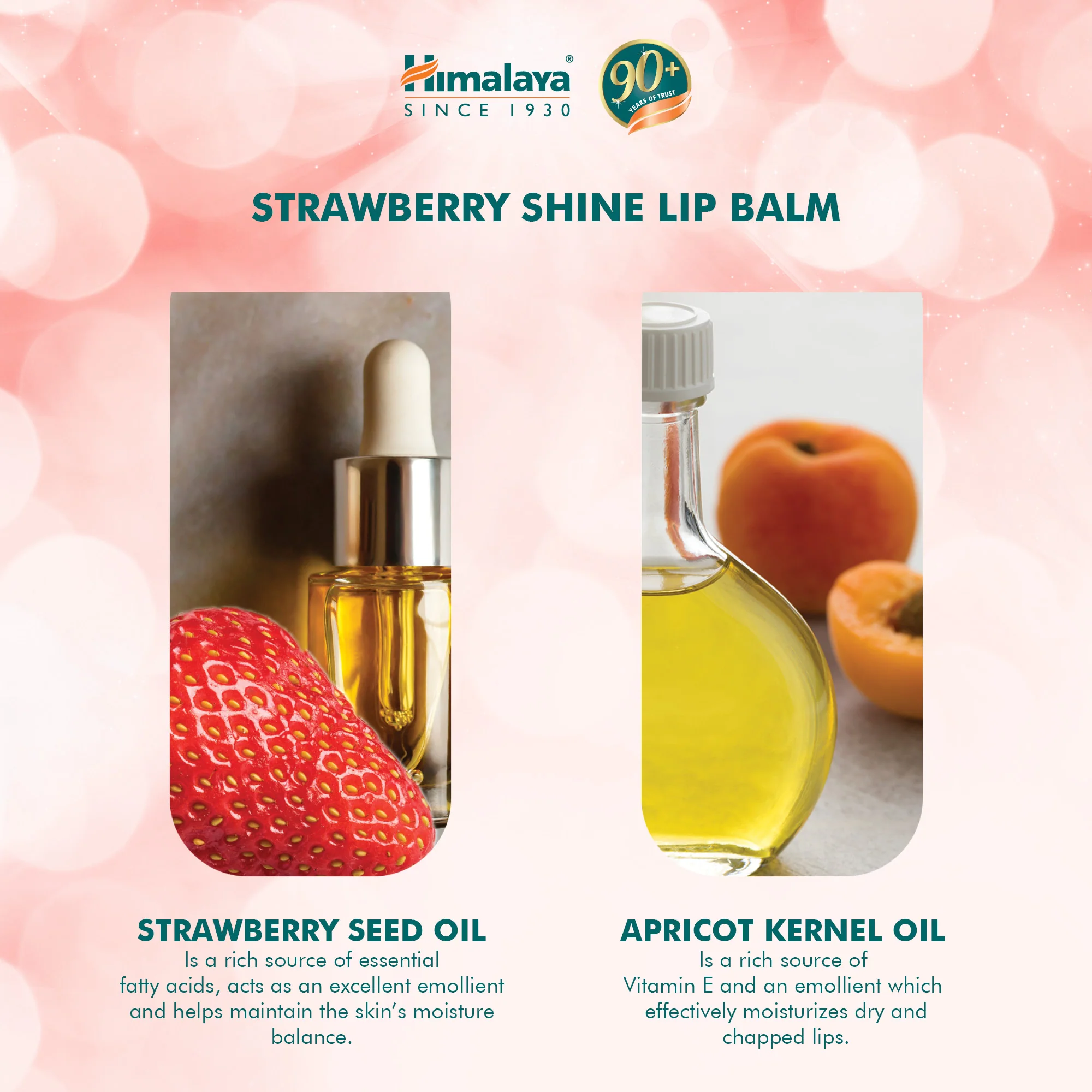 Himalaya Strawberry Gloss Lip Balm - 10g - Image 4