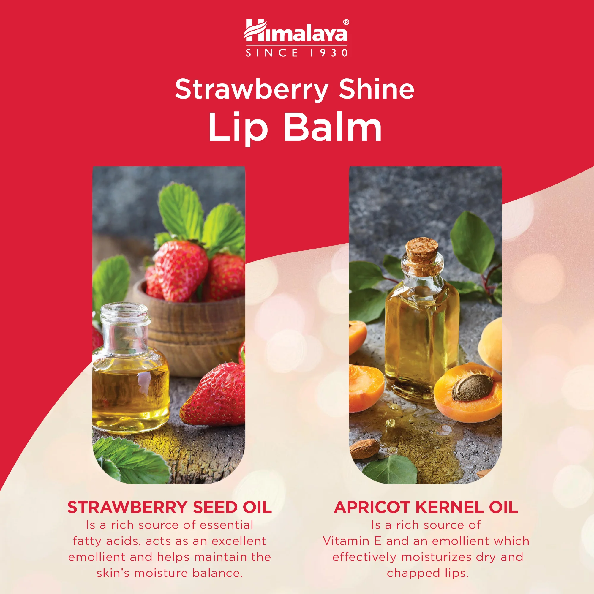Himalaya Strawberry Shine Lip Balm - 4.5g - Image 4