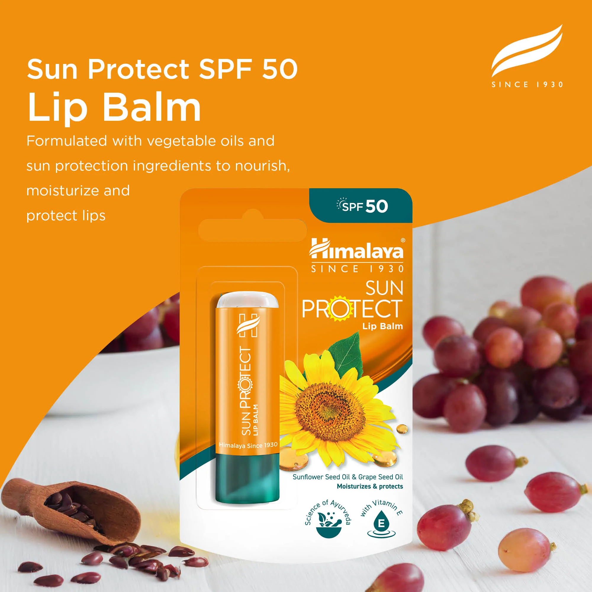 Himalaya Sun Protect Lip balm (SPF 50), 4.5 g - Image 3