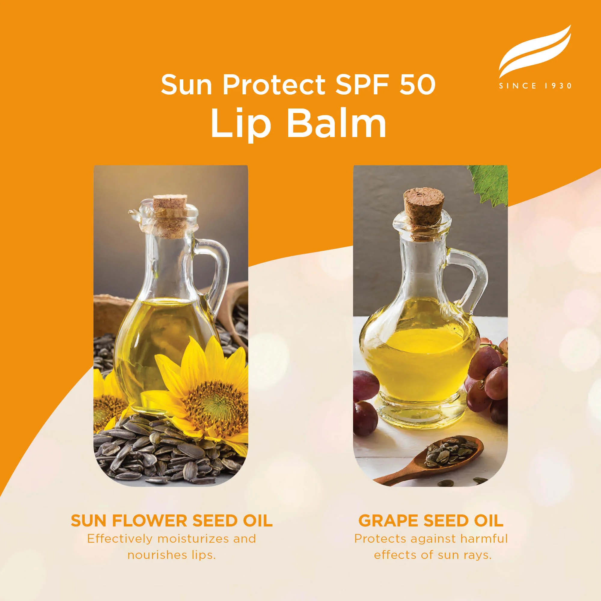 Himalaya Sun Protect Lip balm (SPF 50), 4.5 g - Image 4
