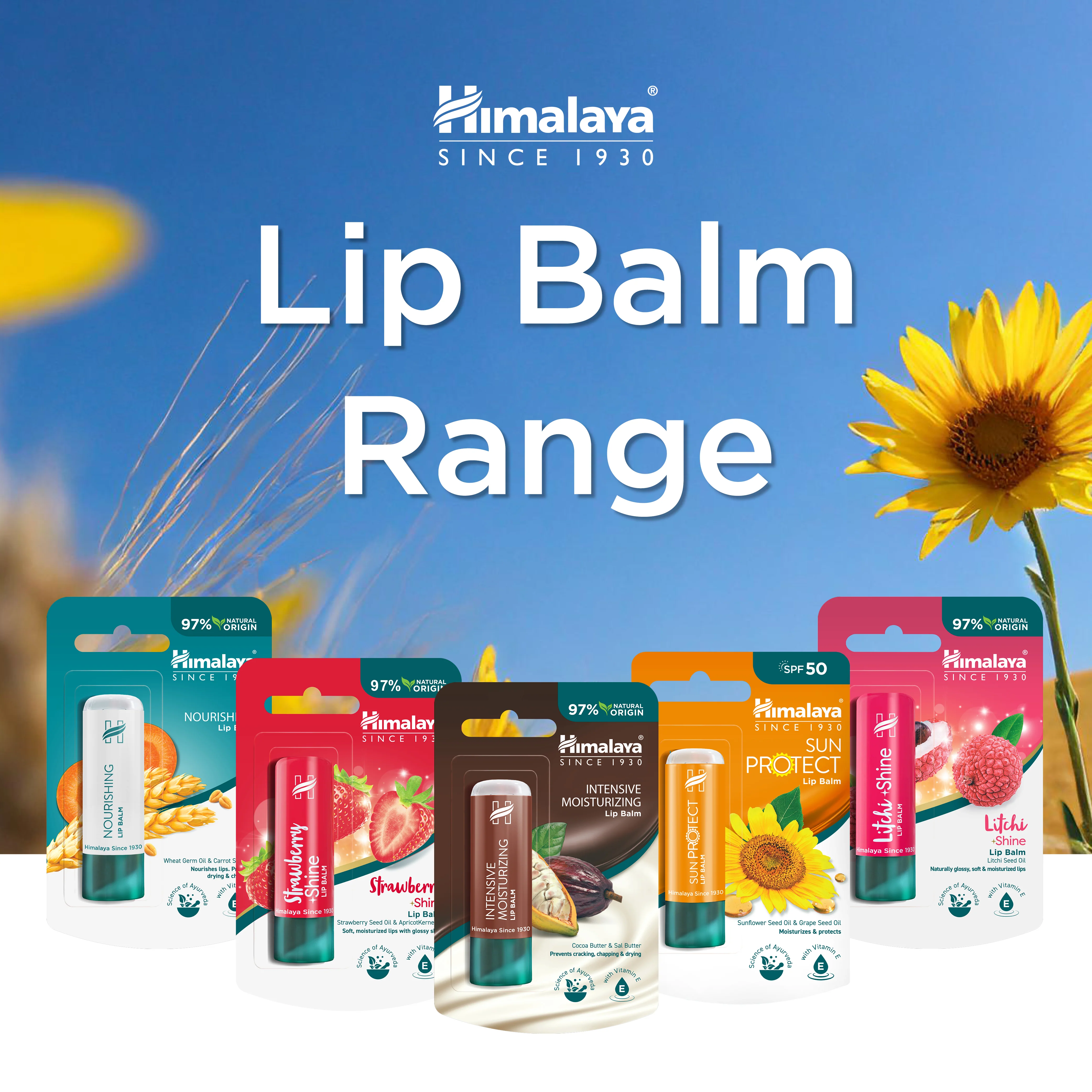 Himalaya Sun Protect Lip balm (SPF 50), 4.5 g - Image 5