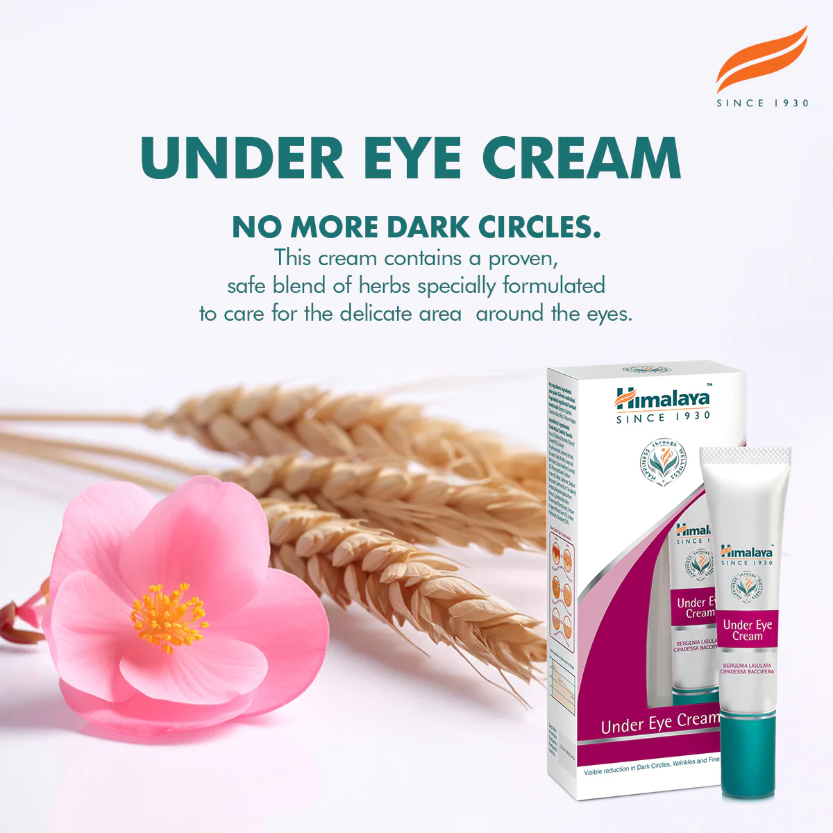 Himalaya Under Eye Cream - 15ml - Image 3